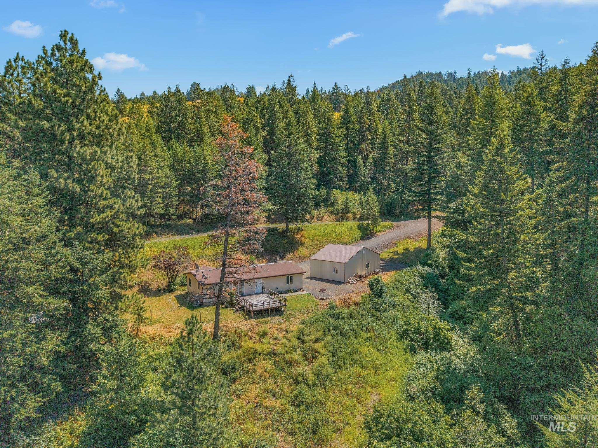 40936 Bobcat Lane, Lewiston, Idaho 83501, 3 Bedrooms, 2 Bathrooms, Residential For Sale, Price $425,000,MLS 98994232