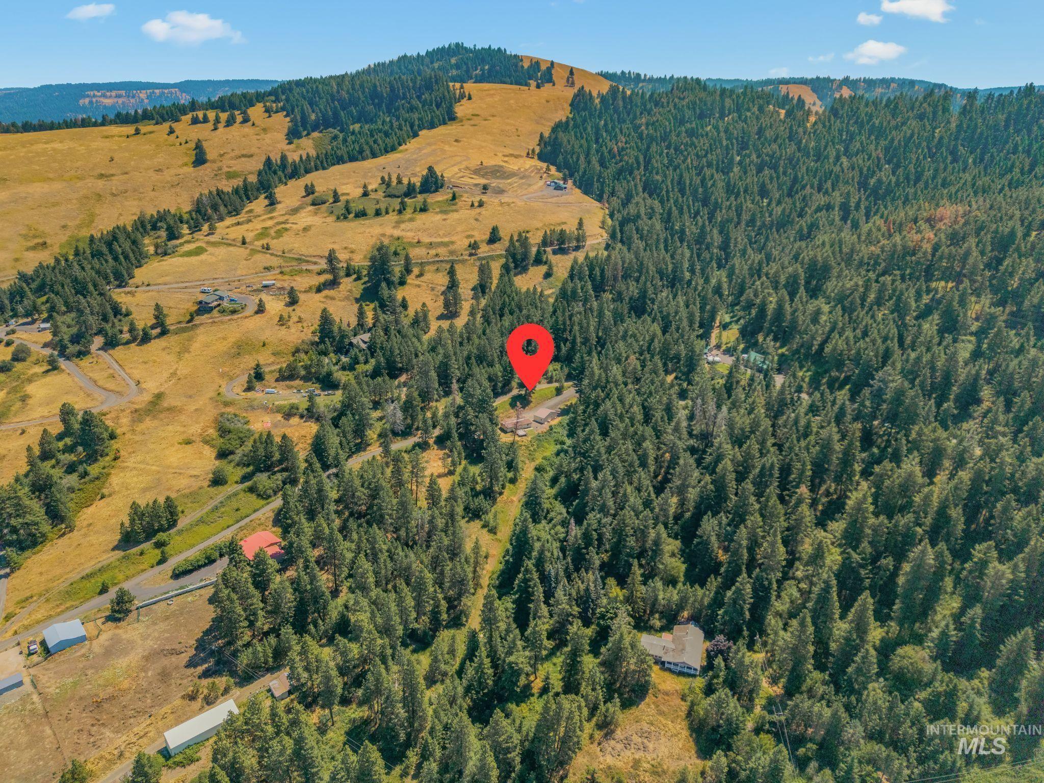 40936 Bobcat Lane, Lewiston, Idaho 83501, 3 Bedrooms, 2 Bathrooms, Residential For Sale, Price $425,000,MLS 98994232