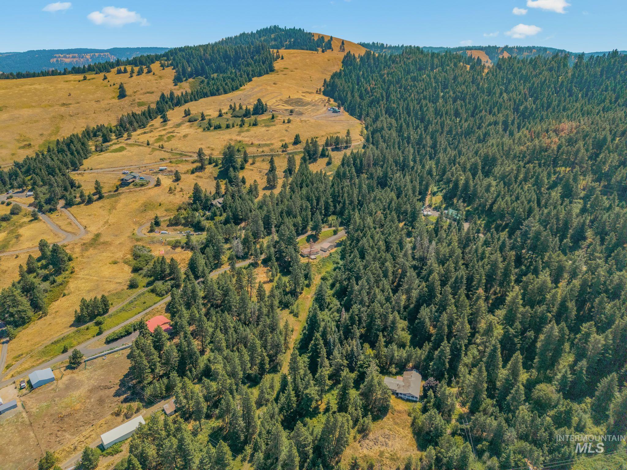 40936 Bobcat Lane, Lewiston, Idaho 83501, 3 Bedrooms, 2 Bathrooms, Residential For Sale, Price $425,000,MLS 98994232
