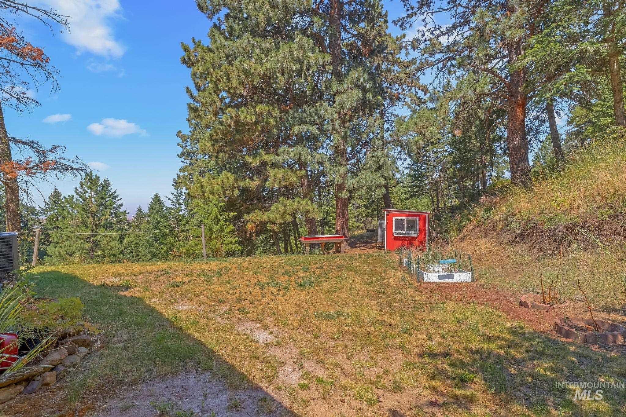 40936 Bobcat Lane, Lewiston, Idaho 83501, 3 Bedrooms, 2 Bathrooms, Residential For Sale, Price $425,000,MLS 98994232