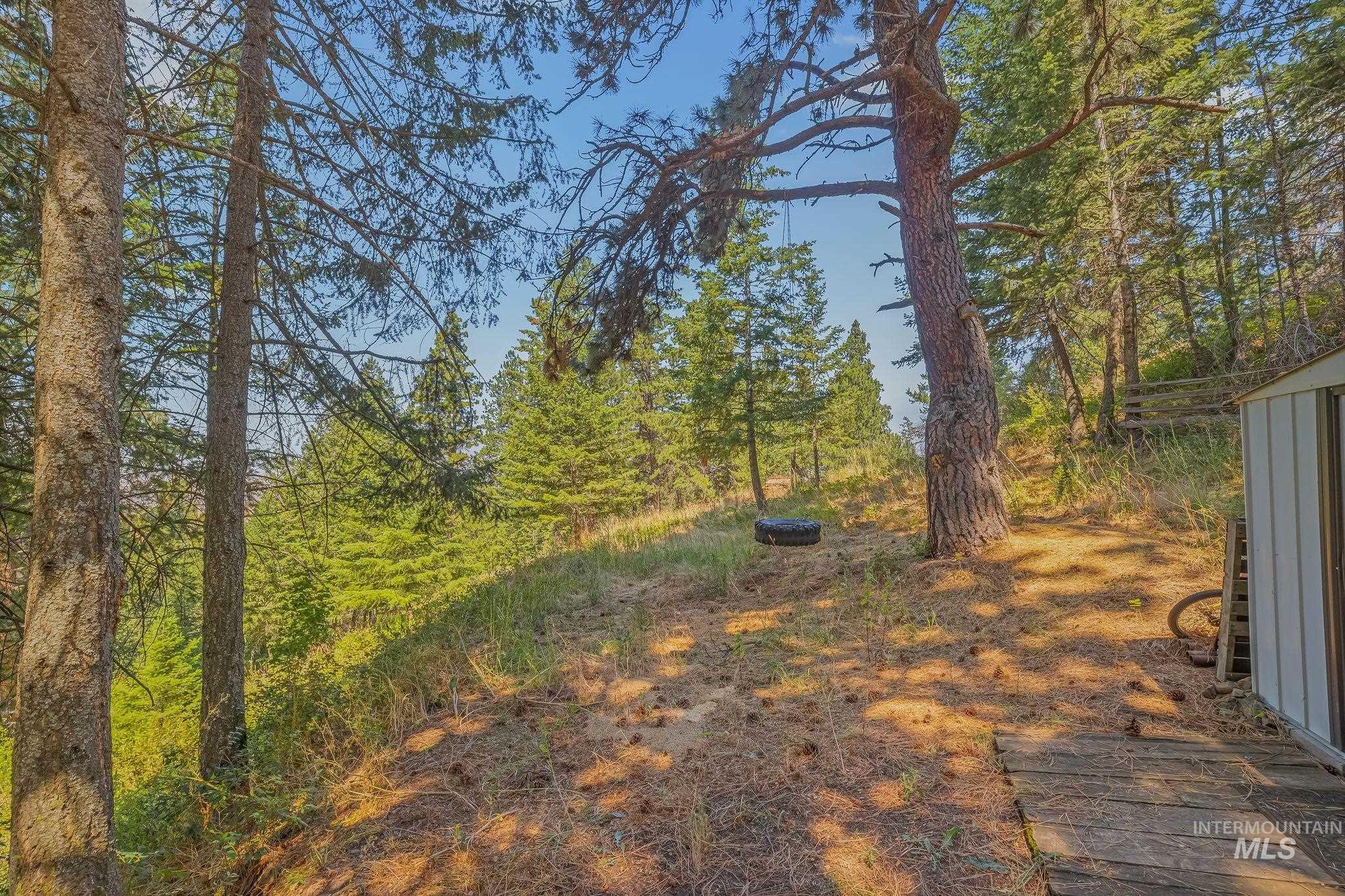 40936 Bobcat Lane, Lewiston, Idaho 83501, 3 Bedrooms, 2 Bathrooms, Residential For Sale, Price $425,000,MLS 98994232