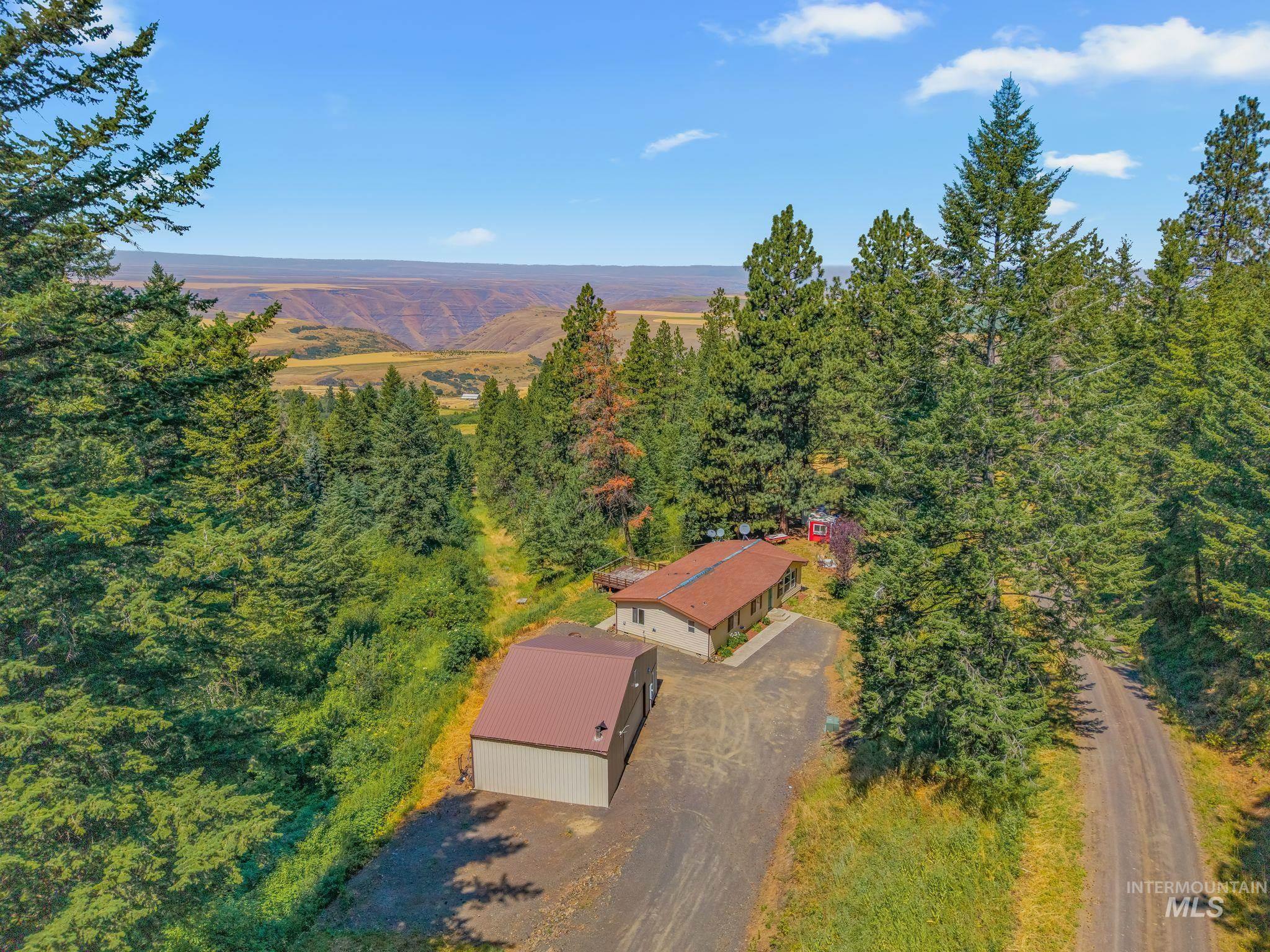 40936 Bobcat Lane, Lewiston, Idaho 83501, 3 Bedrooms, 2 Bathrooms, Residential For Sale, Price $425,000,MLS 98994232