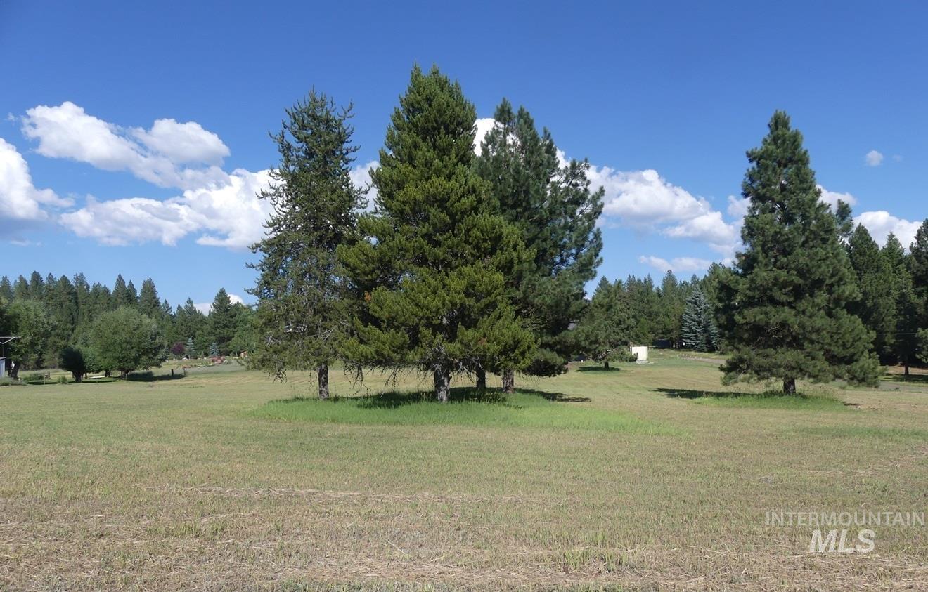 495 S Samson Trail, McCall, Idaho 83638, Land For Sale, Price $390,000,MLS 98994370