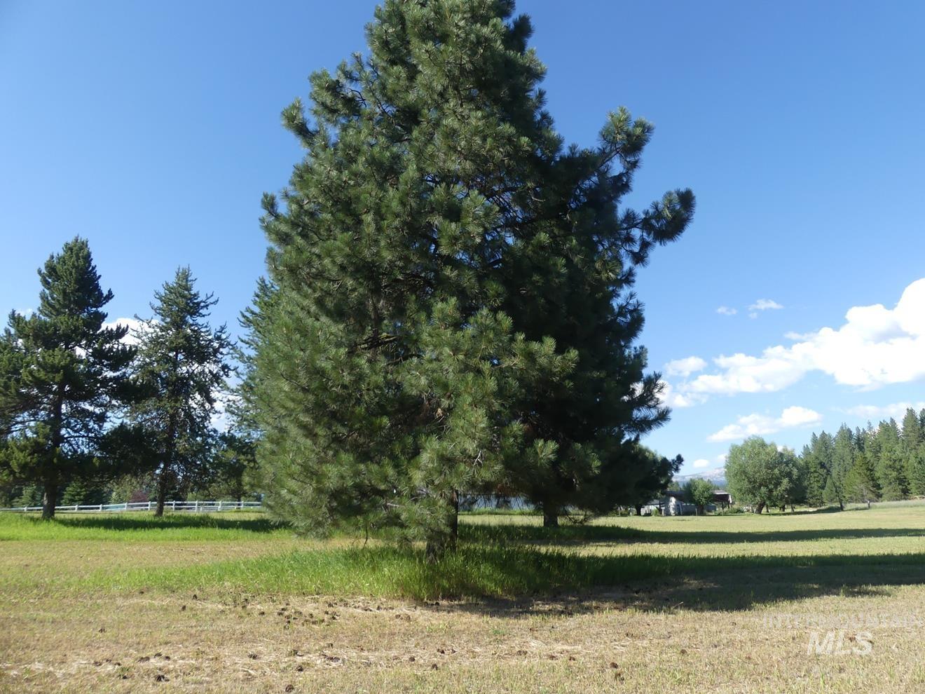 495 S Samson Trail, McCall, Idaho 83638, Land For Sale, Price $390,000,MLS 98994370