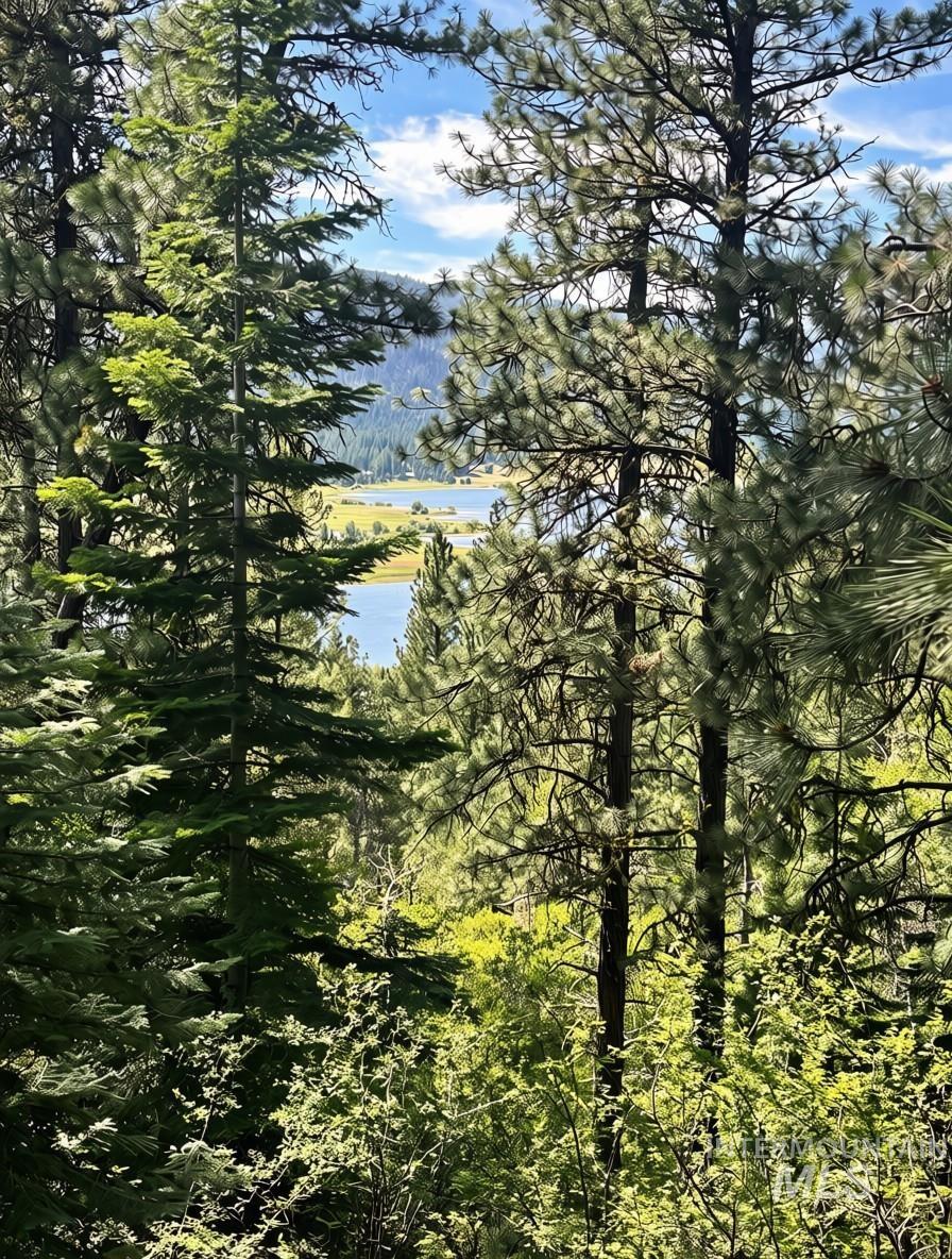 459 Collier View, Cascade, Idaho 83611, Land For Sale, Price $70,000, 98994484