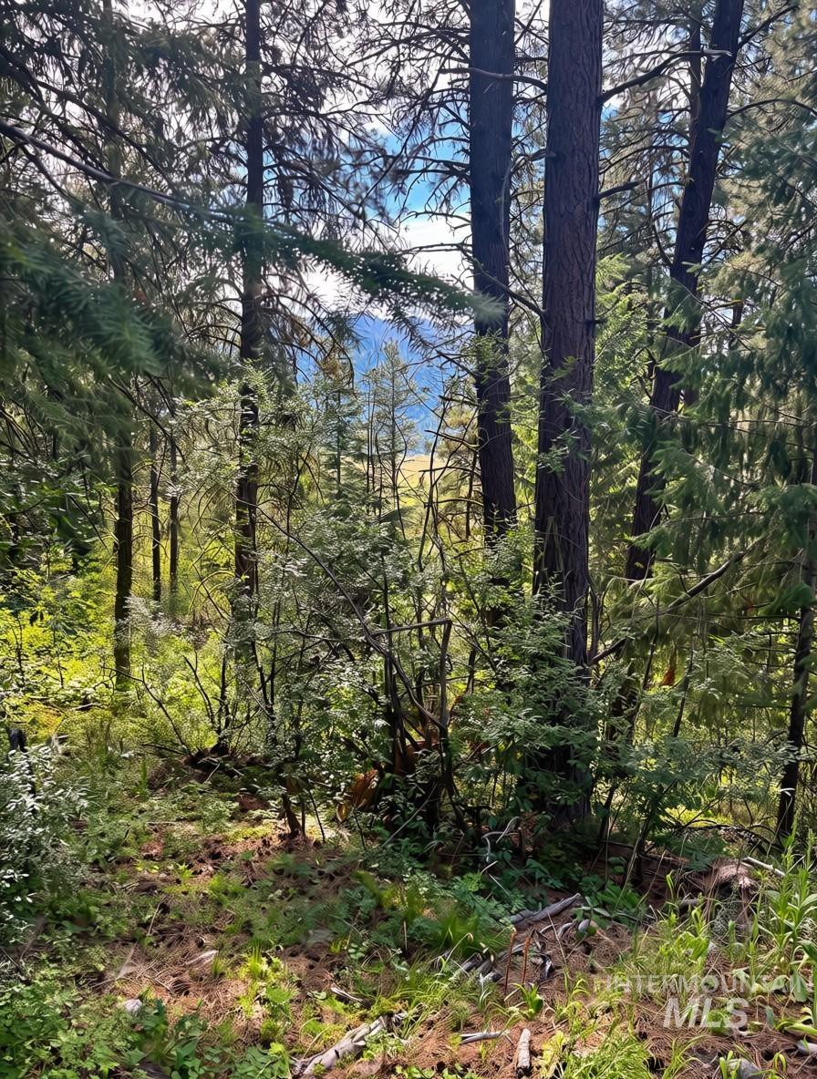 459 Collier View, Cascade, Idaho 83611, Land For Sale, Price $70,000, 98994484