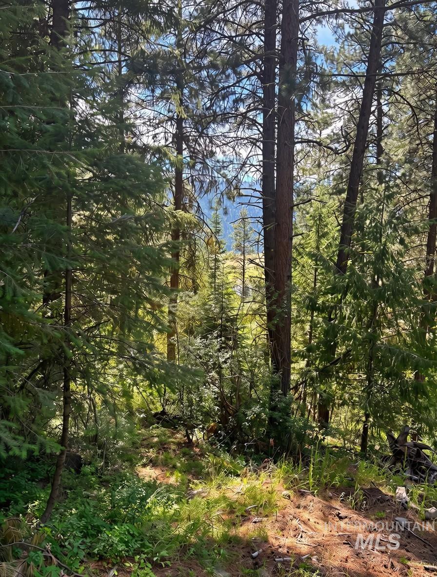 459 Collier View, Cascade, Idaho 83611, Land For Sale, Price $70,000, 98994484