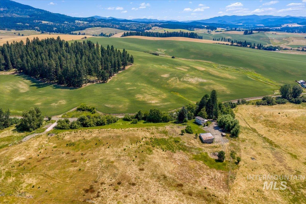 1071 Reynolds Rd, Princeton, Idaho 83857, 2 Bedrooms, 1.5 Bathrooms, Residential For Sale, Price $475,000,MLS 98994496
