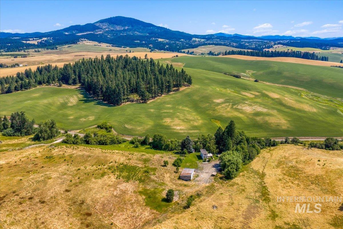 1071 Reynolds Rd, Princeton, Idaho 83857, 2 Bedrooms, 1.5 Bathrooms, Residential For Sale, Price $475,000,MLS 98994496