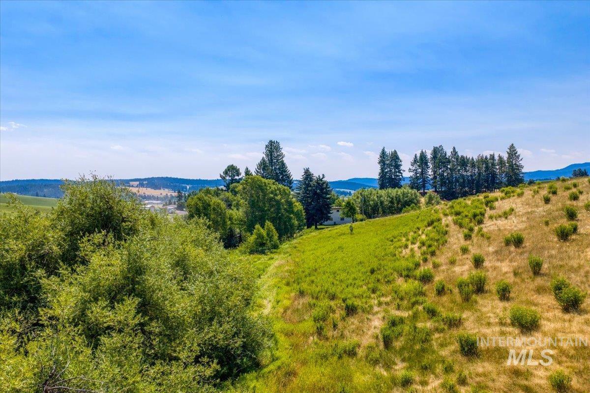 1071 Reynolds Rd, Princeton, Idaho 83857, 2 Bedrooms, 1.5 Bathrooms, Residential For Sale, Price $475,000,MLS 98994496