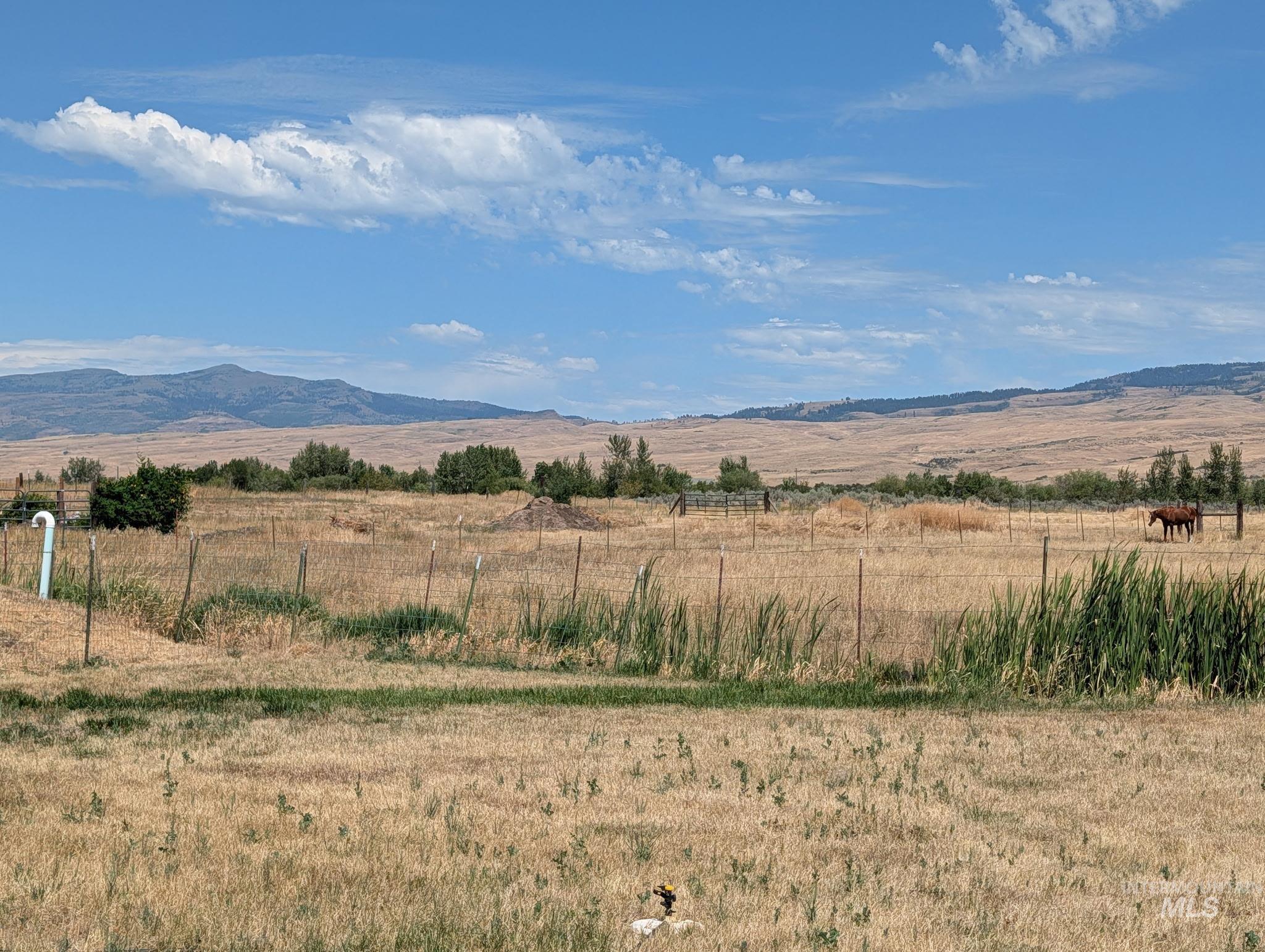 804 Indian Valley Rd., Indian Valley, Idaho 83632, 1 Bedroom, 1 Bathroom, Residential For Sale, Price $245,000, 98994502