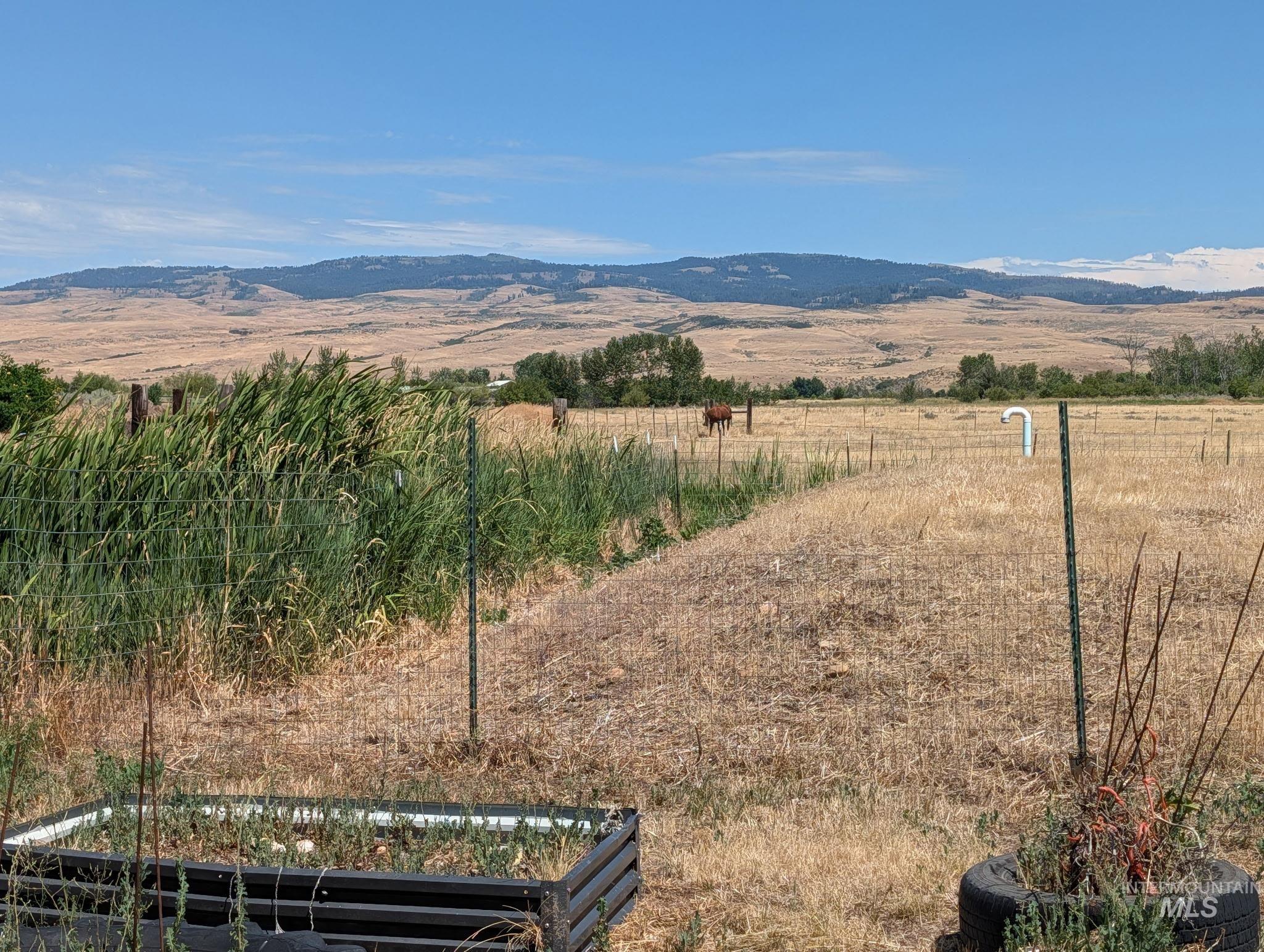 804 Indian Valley Rd., Indian Valley, Idaho 83632, 1 Bedroom, 1 Bathroom, Residential For Sale, Price $245,000, 98994502