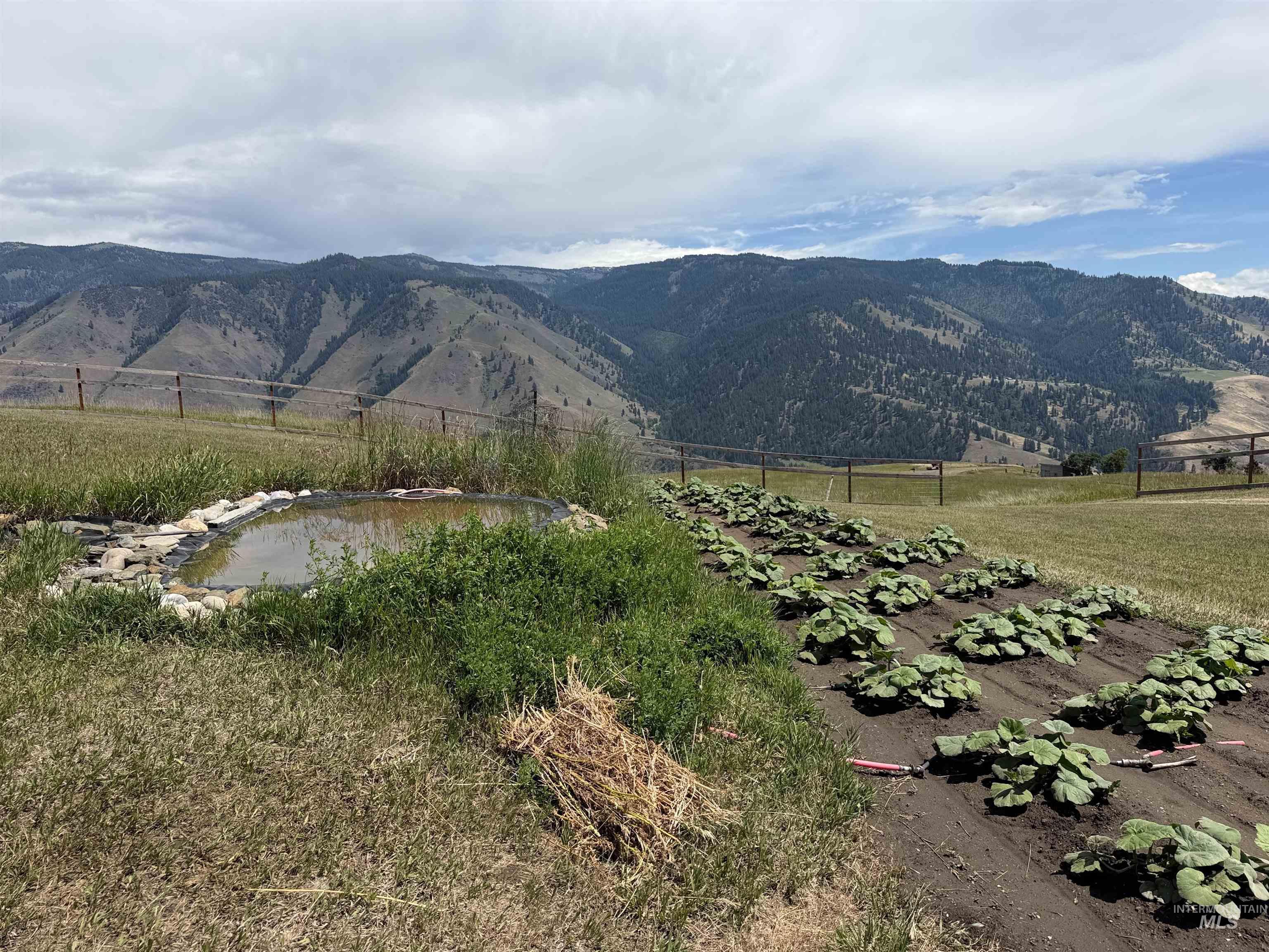 111 Elk Haven Circle, Pollock, Idaho 83547, 2 Bedrooms, 2 Bathrooms, Residential For Sale, Price $499,000, 98994522