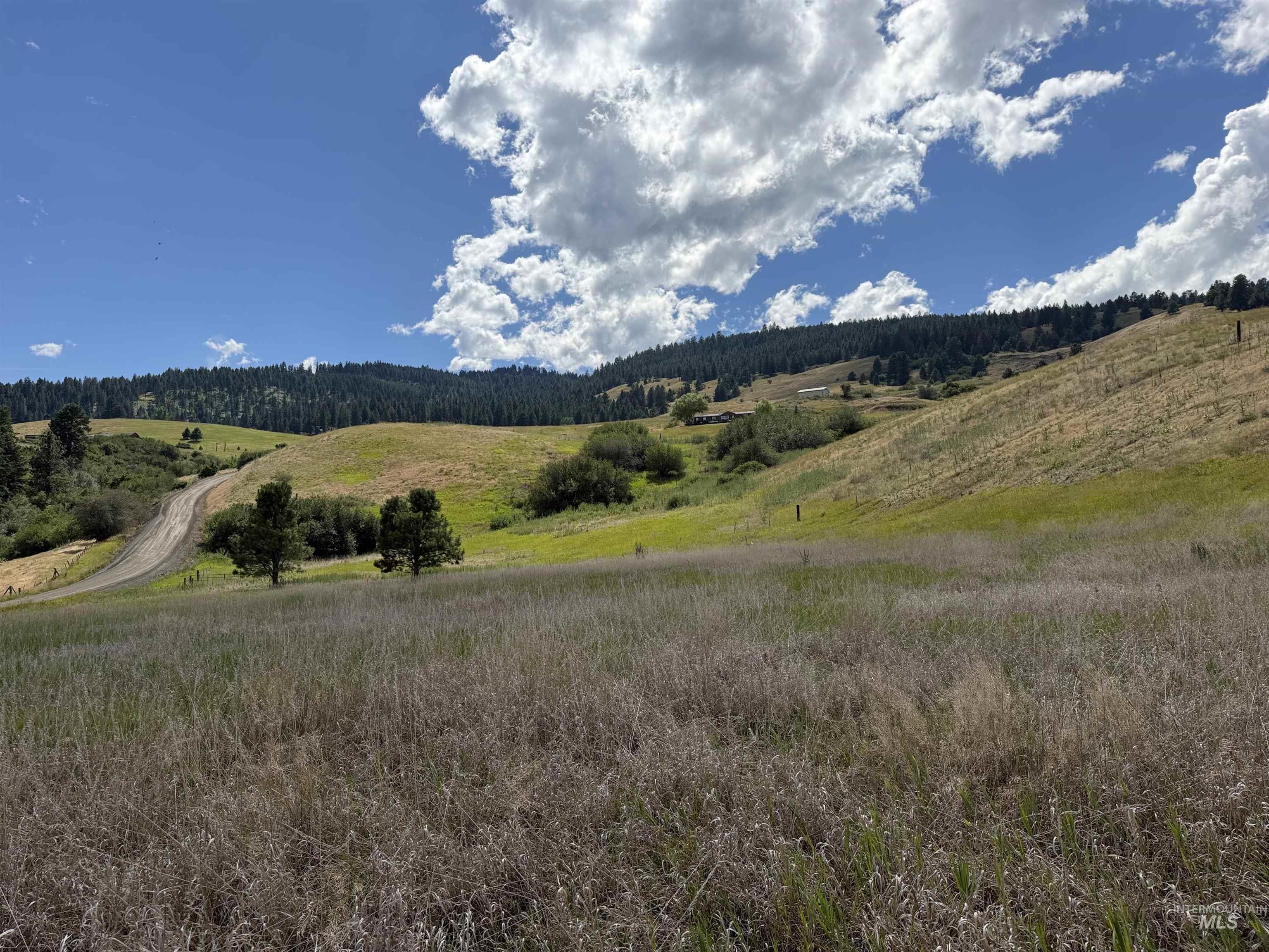 111 Elk Haven Circle, Pollock, Idaho 83547, 2 Bedrooms, 2 Bathrooms, Residential For Sale, Price $499,000, 98994522