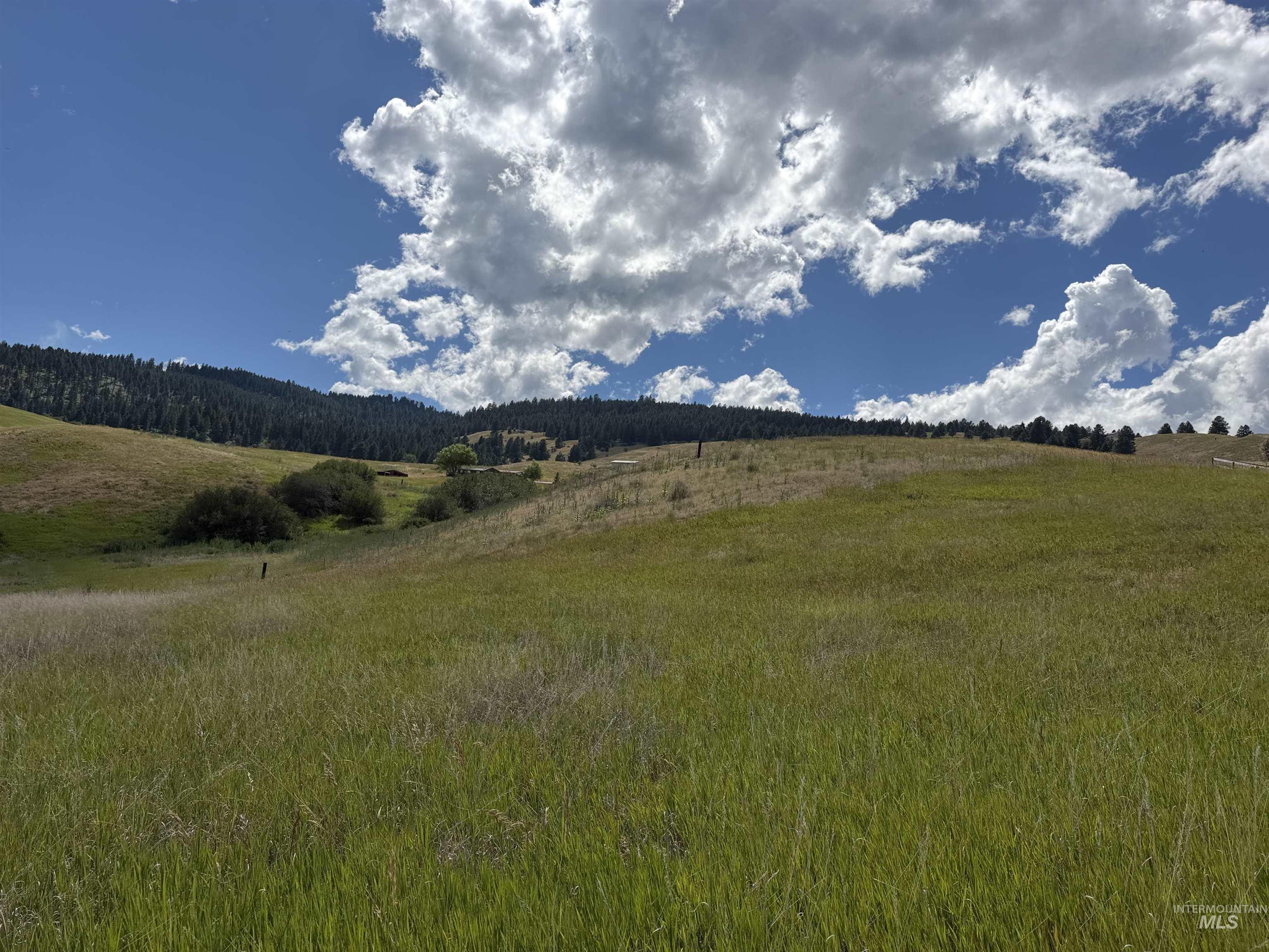 111 Elk Haven Circle, Pollock, Idaho 83547, 2 Bedrooms, 2 Bathrooms, Residential For Sale, Price $499,000, 98994522