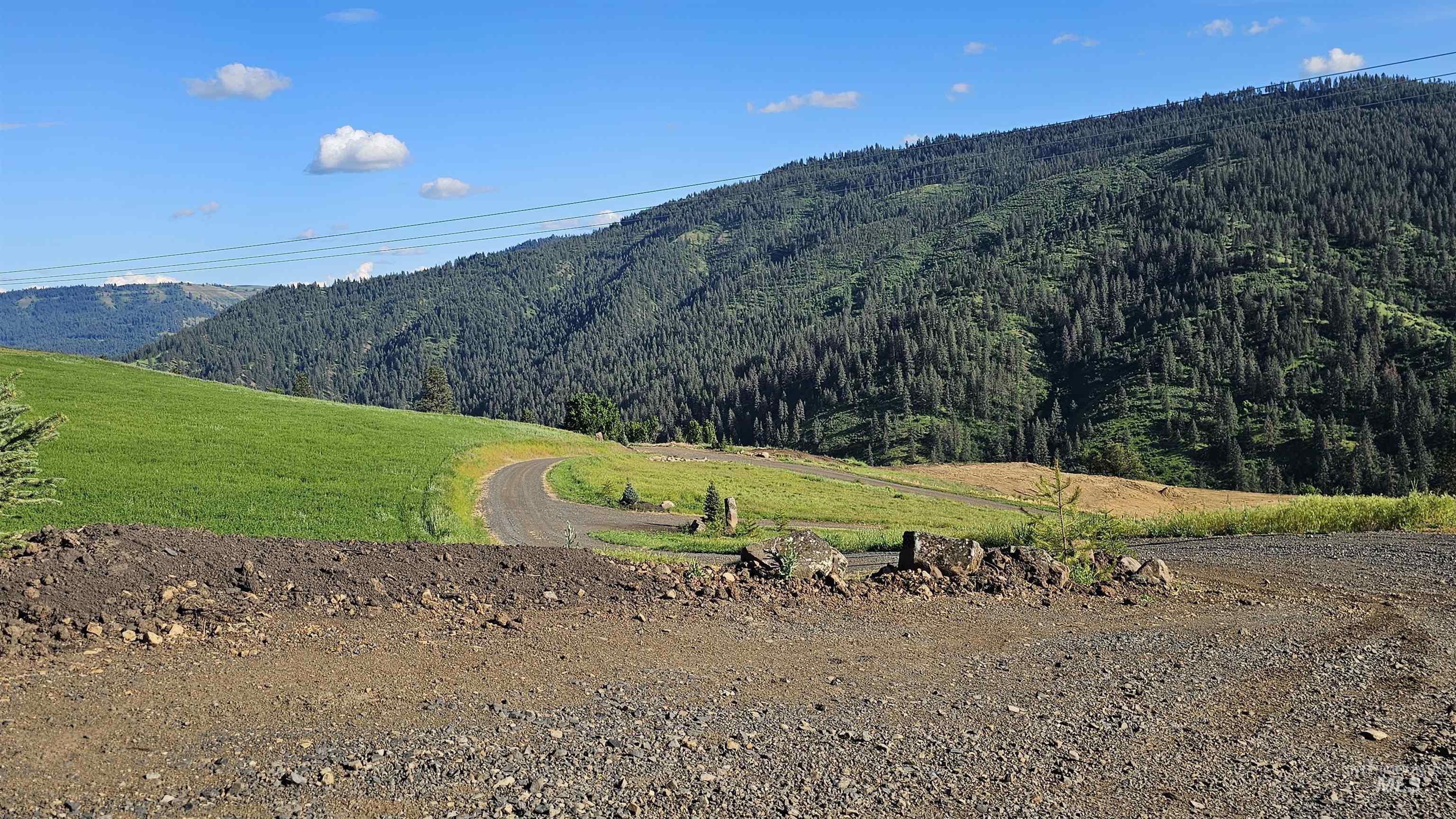 TBD Quiet Hills Lane, Lot 1, Lenore, Idaho 83541, Land For Sale, Price $249,000, 98994632