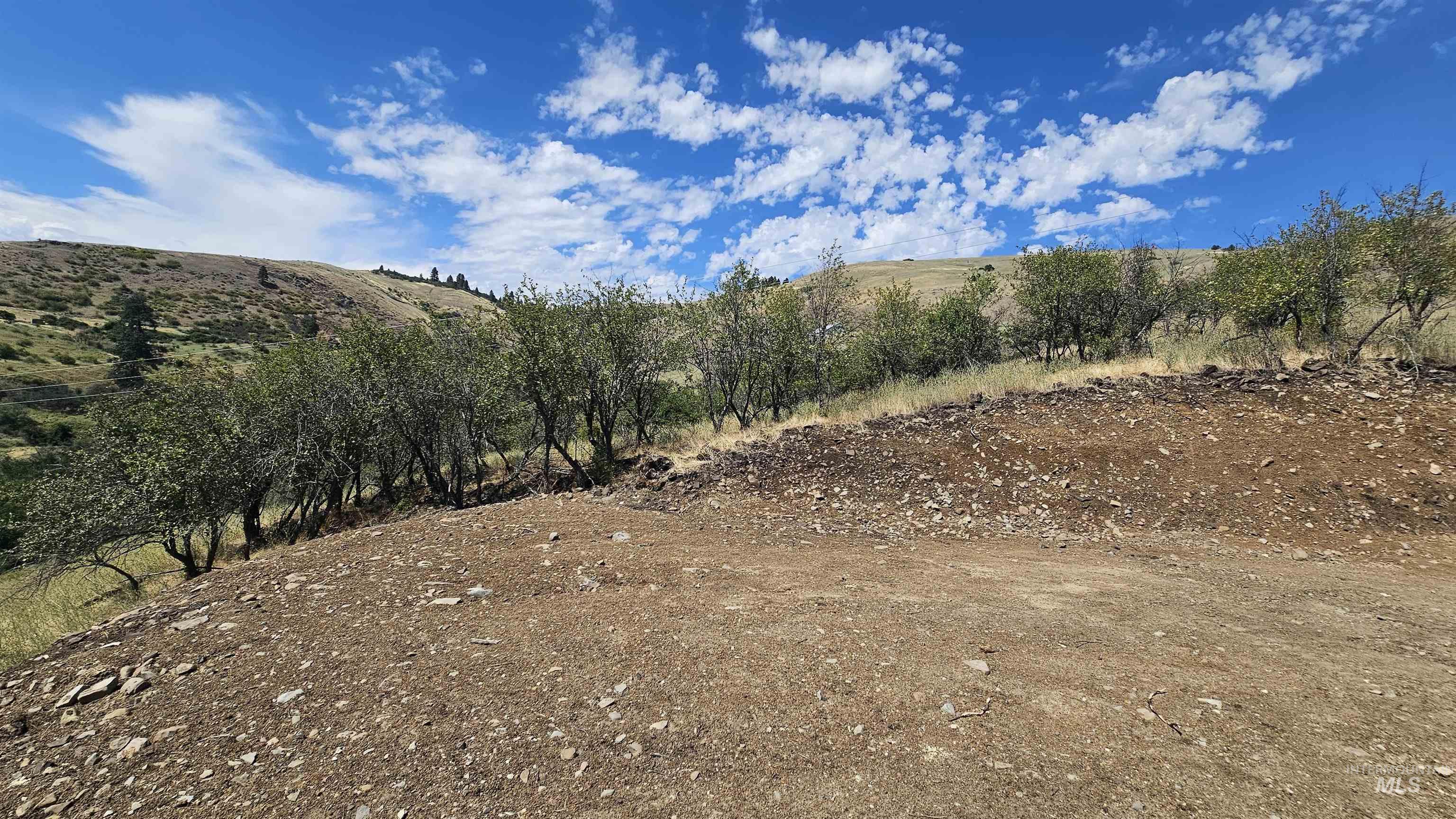 TBD Quiet Hills Lane, Lot 1, Lenore, Idaho 83541, Land For Sale, Price $249,000, 98994632