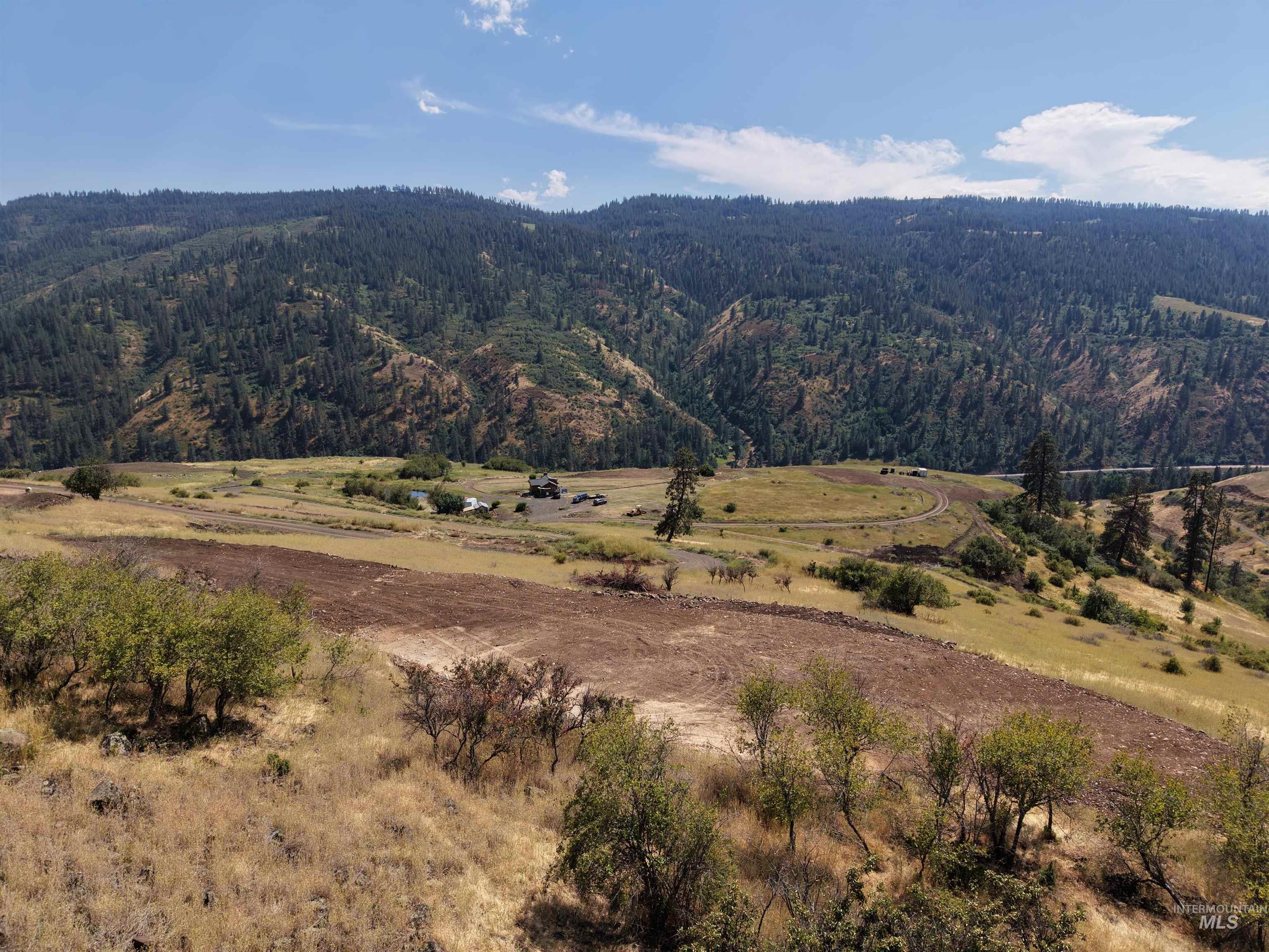 TBD Quiet Hills Lane, Lot 1, Lenore, Idaho 83541, Land For Sale, Price $249,000, 98994632