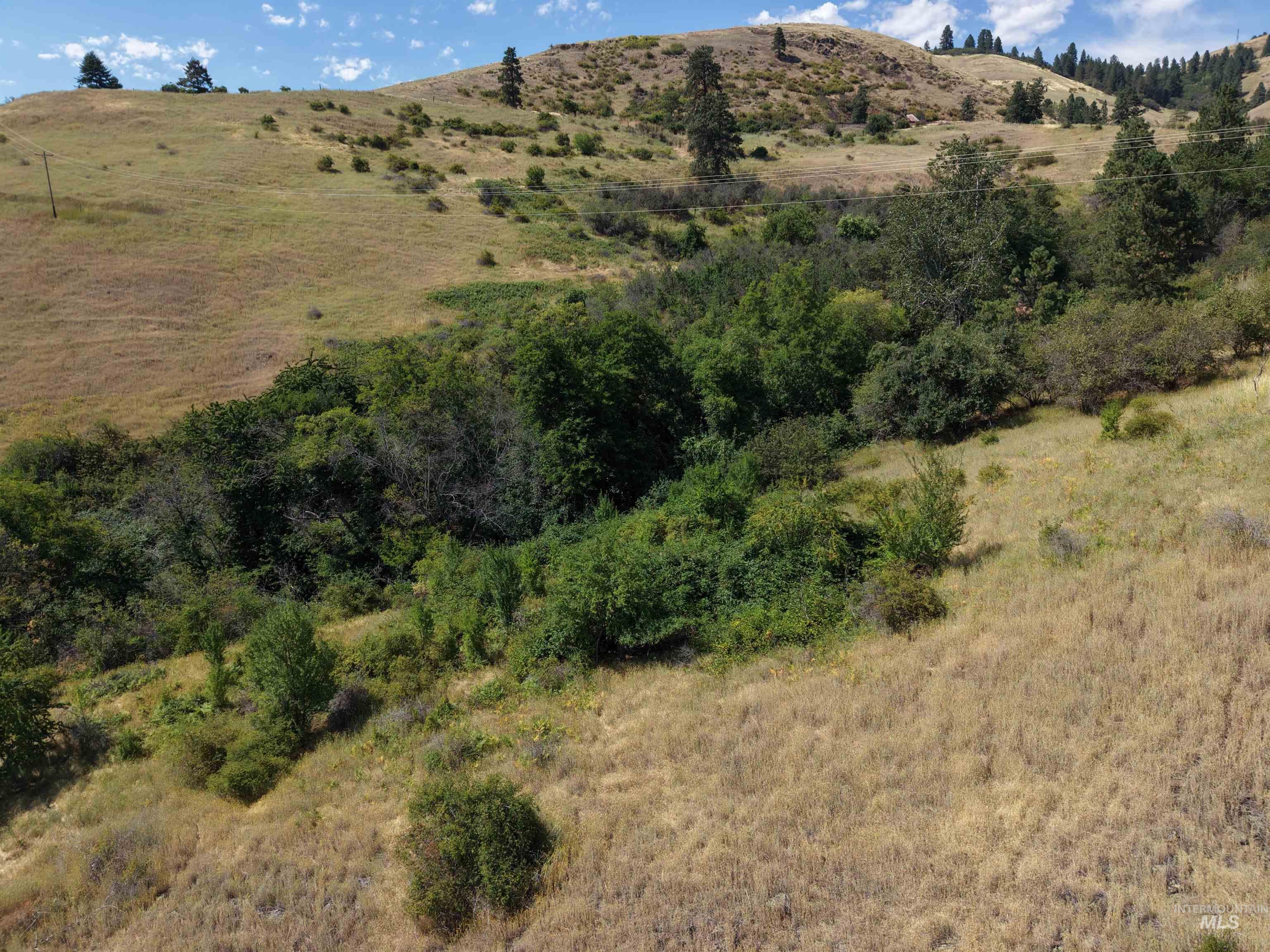 TBD Quiet Hills Lane, Lot 1, Lenore, Idaho 83541, Land For Sale, Price $249,000, 98994632