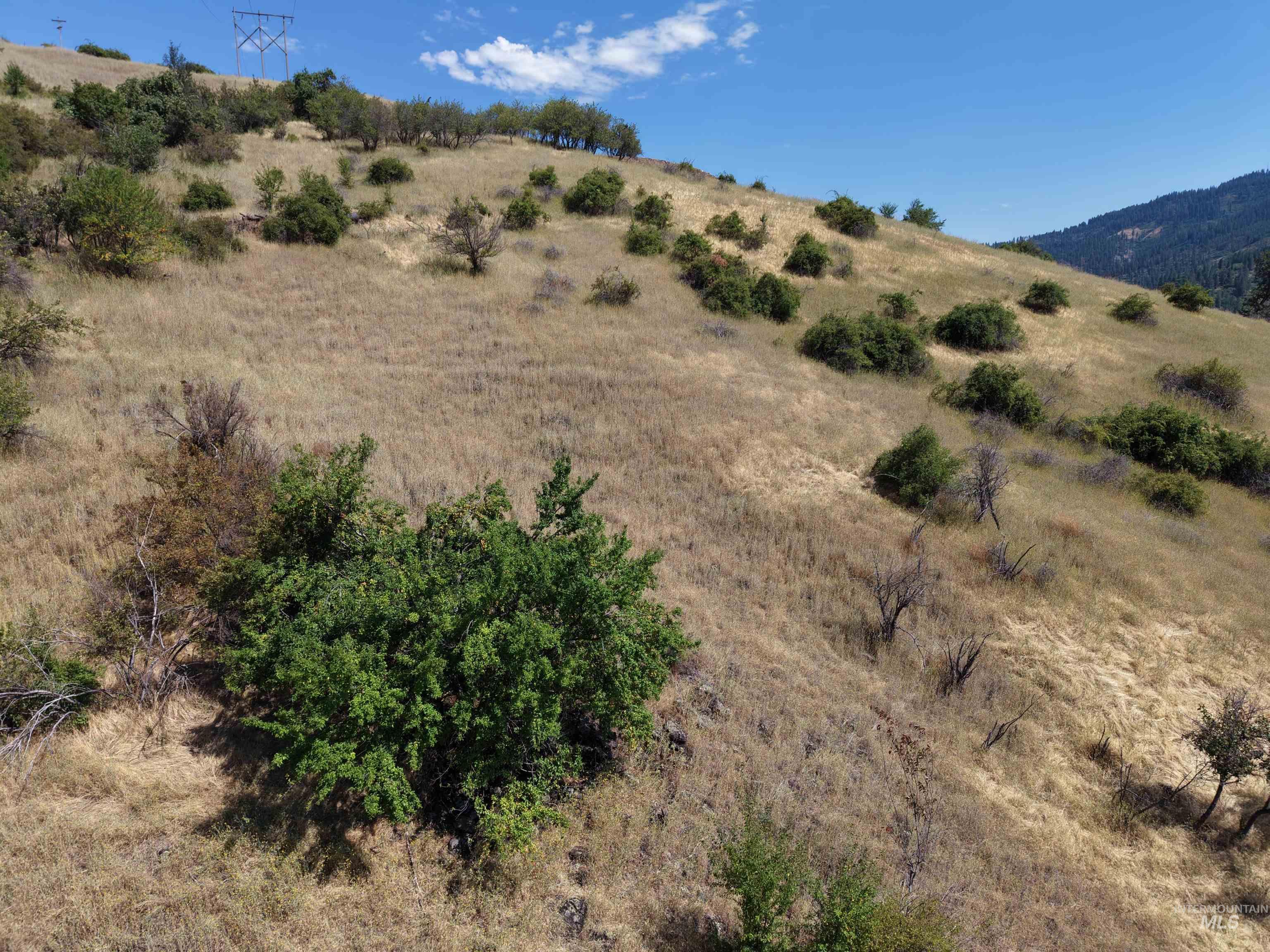 TBD Quiet Hills Lane, Lot 1, Lenore, Idaho 83541, Land For Sale, Price $249,000, 98994632