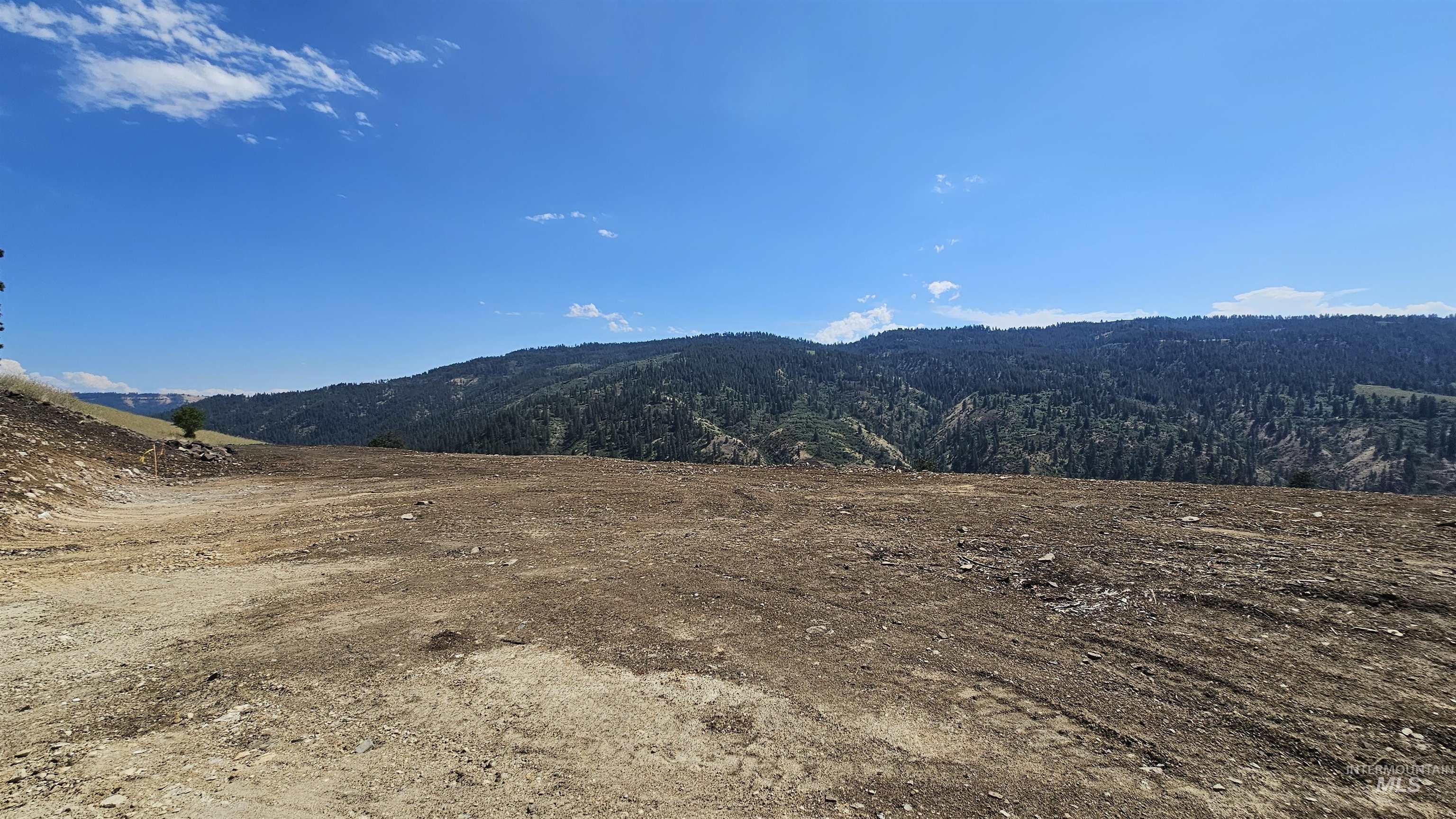 TBD Quiet Hills Lane, Lot 1, Lenore, Idaho 83541, Land For Sale, Price $249,000, 98994632