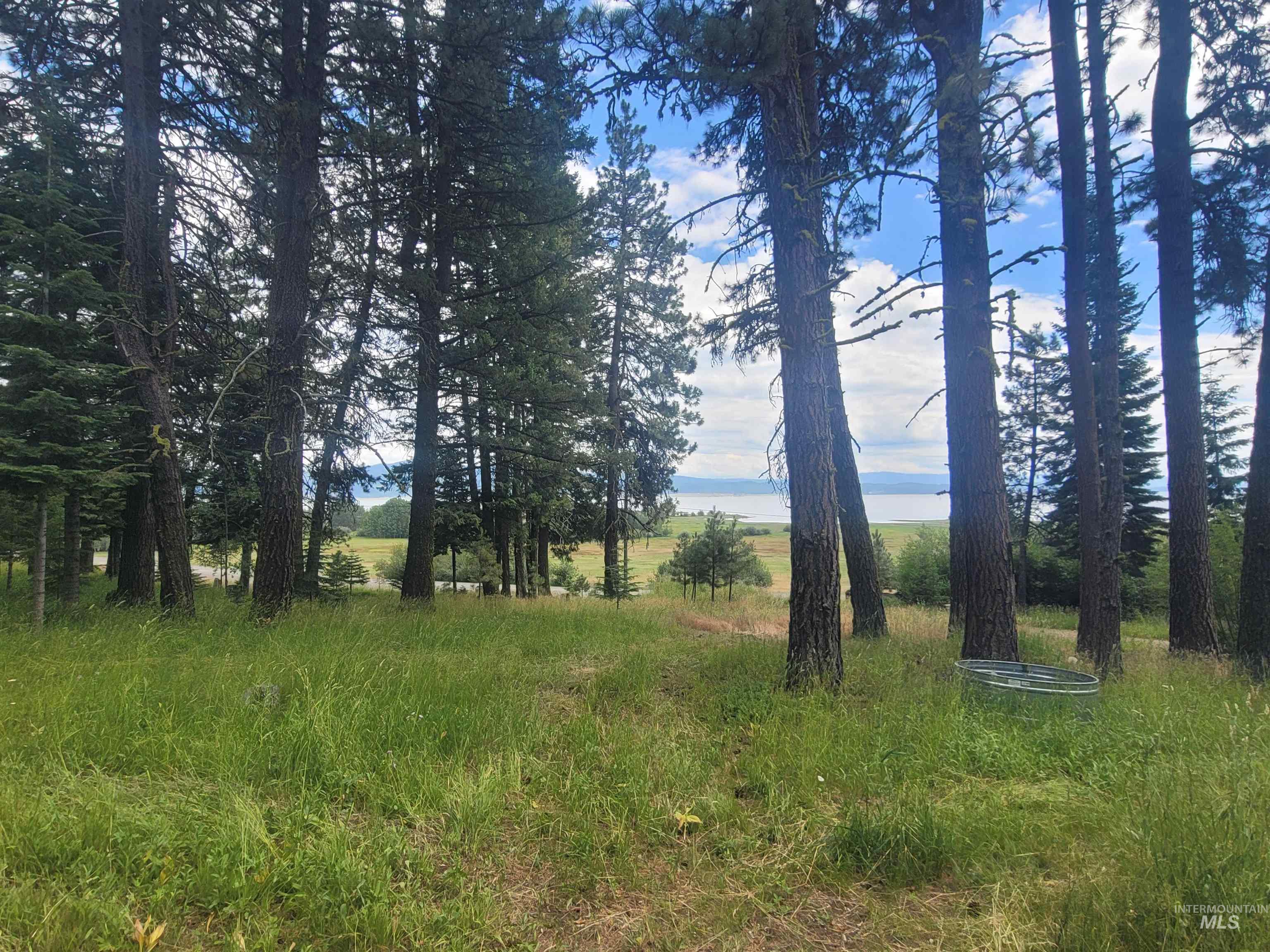 1629 West Mountain Road, Cascade, Idaho 83611, 3 Bedrooms, 3 Bathrooms, Residential For Sale, Price $1,560,000, 98994644