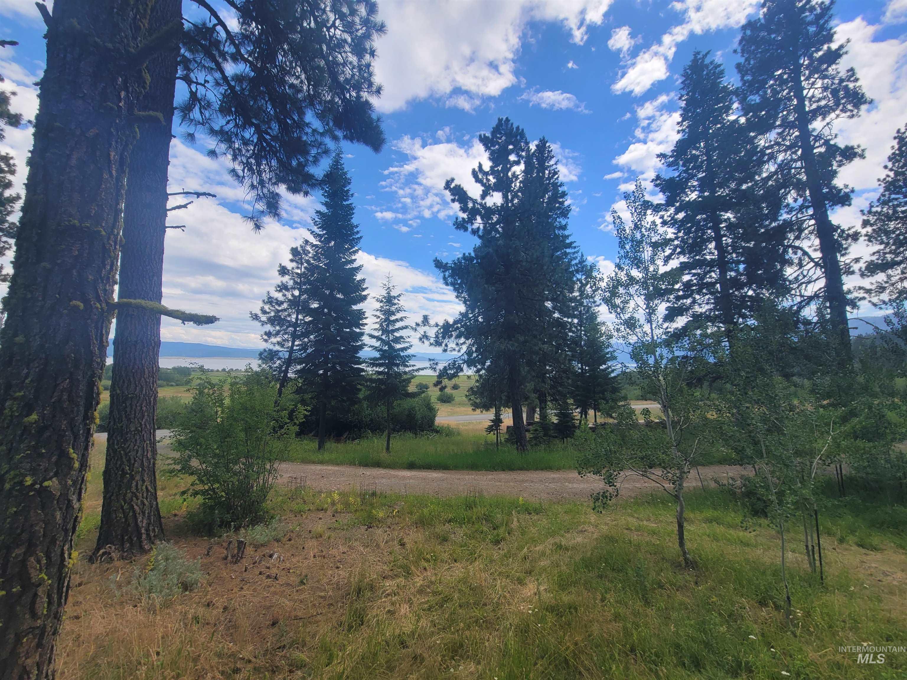 1629 West Mountain Road, Cascade, Idaho 83611, 3 Bedrooms, 3 Bathrooms, Residential For Sale, Price $1,560,000, 98994644