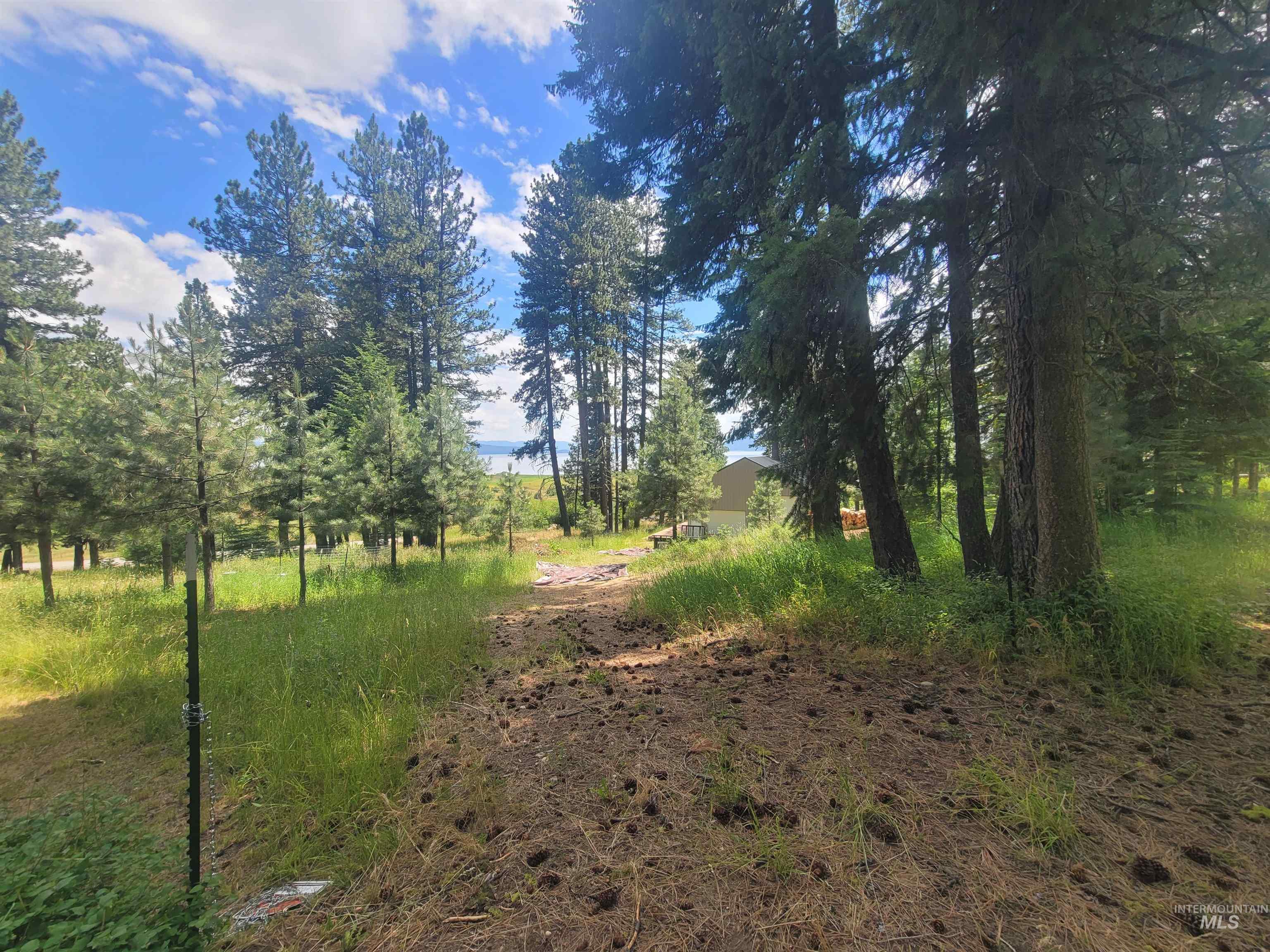 1629 West Mountain Road, Cascade, Idaho 83611, 3 Bedrooms, 3 Bathrooms, Residential For Sale, Price $1,560,000, 98994644