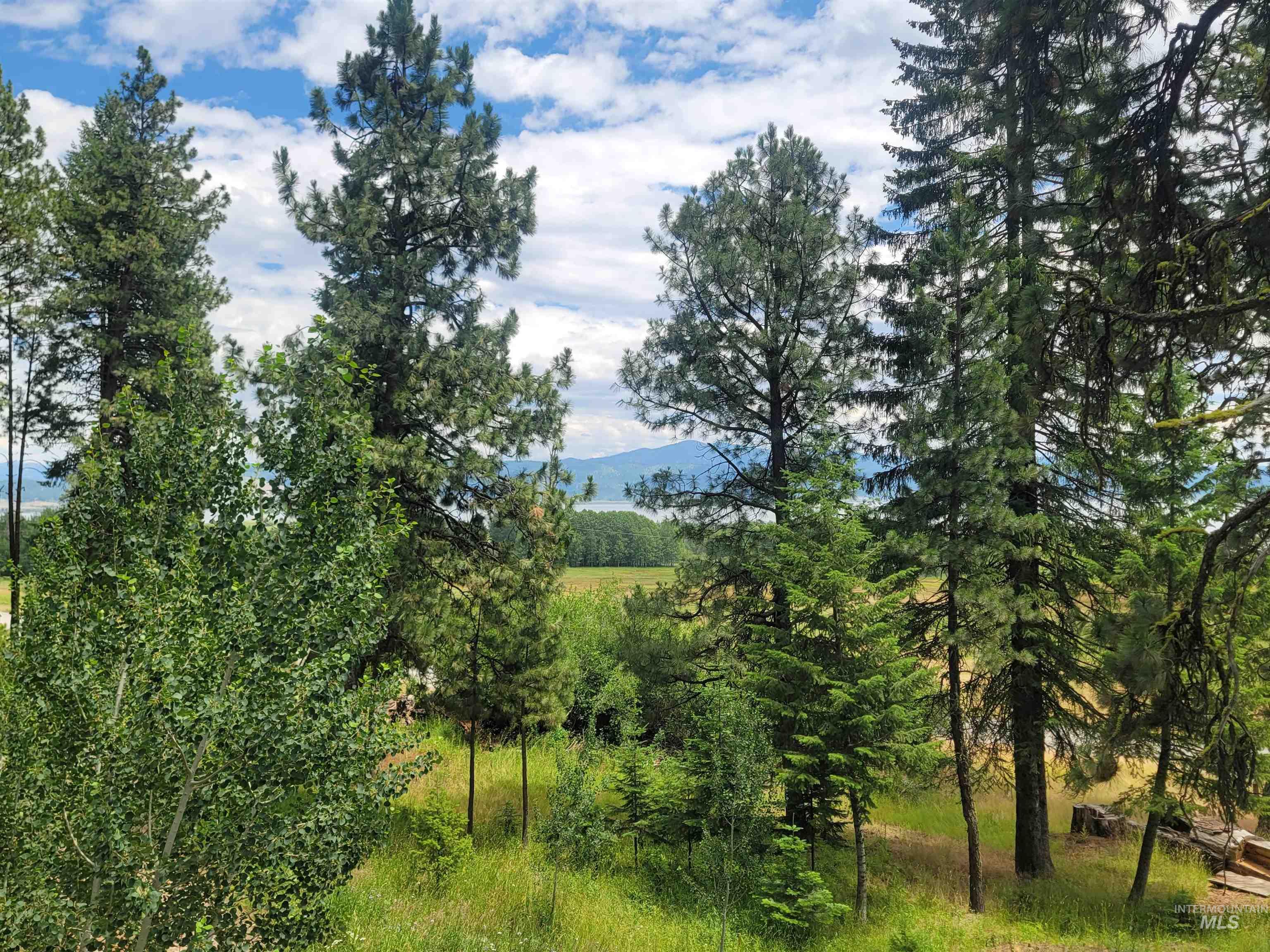1629 West Mountain Road, Cascade, Idaho 83611, 3 Bedrooms, 3 Bathrooms, Residential For Sale, Price $1,560,000, 98994644