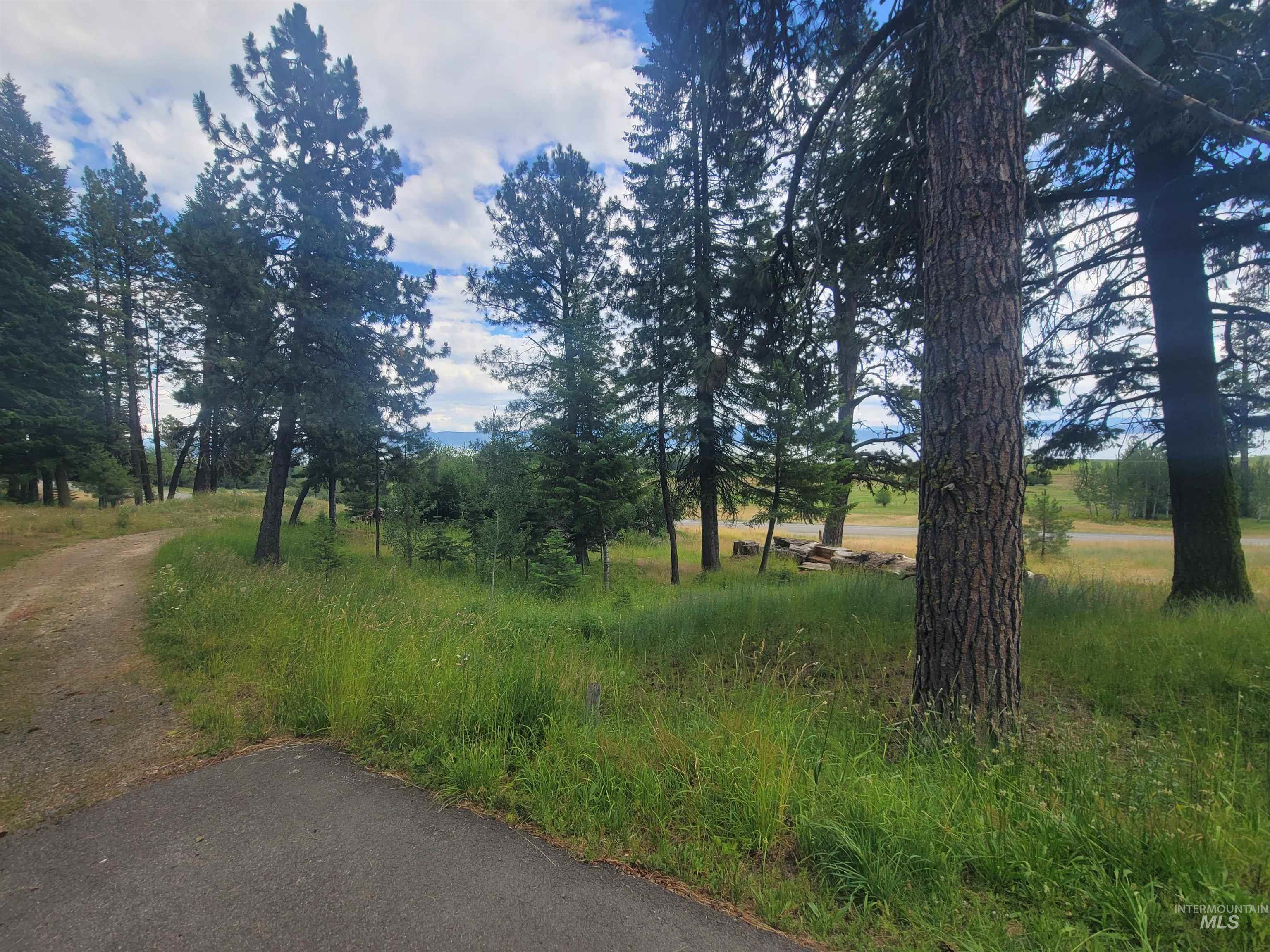 1629 West Mountain Road, Cascade, Idaho 83611, 3 Bedrooms, 3 Bathrooms, Residential For Sale, Price $1,560,000, 98994644