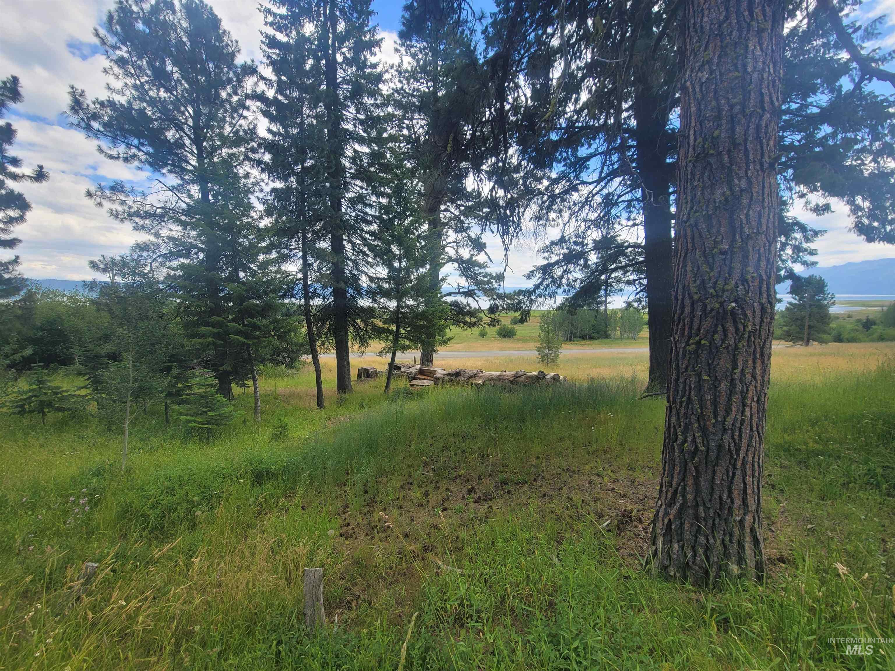 1629 West Mountain Road, Cascade, Idaho 83611, 3 Bedrooms, 3 Bathrooms, Residential For Sale, Price $1,560,000, 98994644