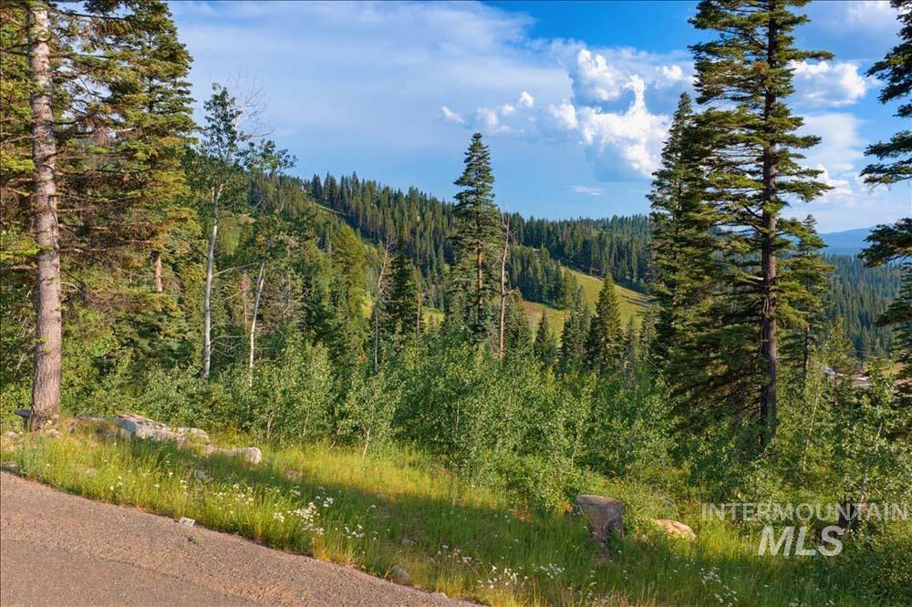 TBD Brundage, New Meadows, Idaho 83654, Land For Sale, Price $1,200,000,MLS 98994669