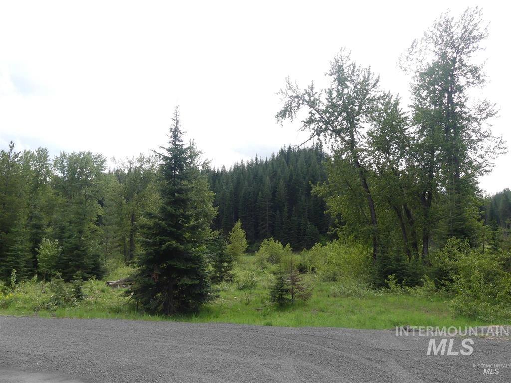 150 French Mountain Road, Pierce, Idaho 83546, Land For Sale, Price $150,000, 98994733