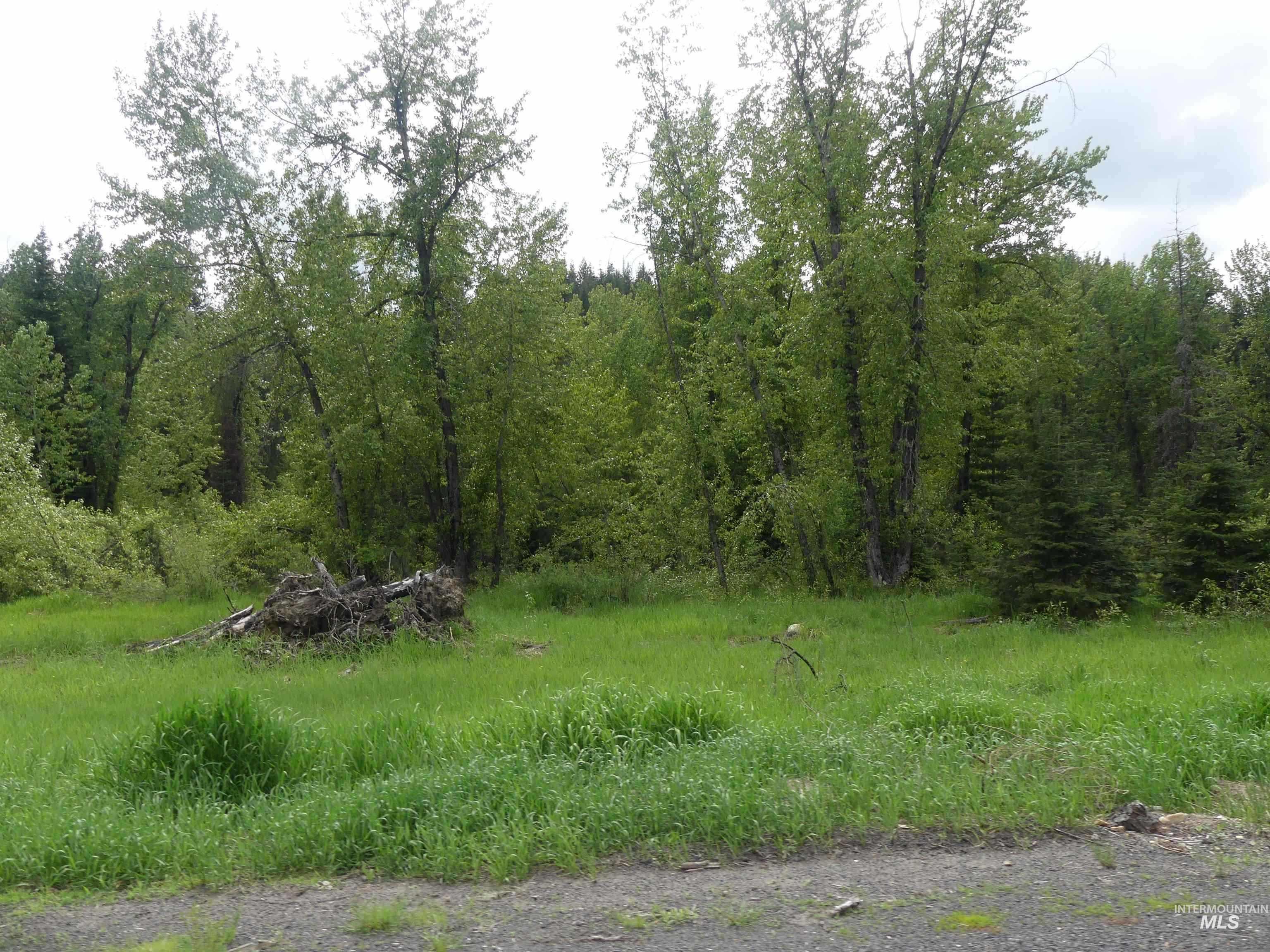 150 French Mountain Road, Pierce, Idaho 83546, Land For Sale, Price $150,000, 98994733