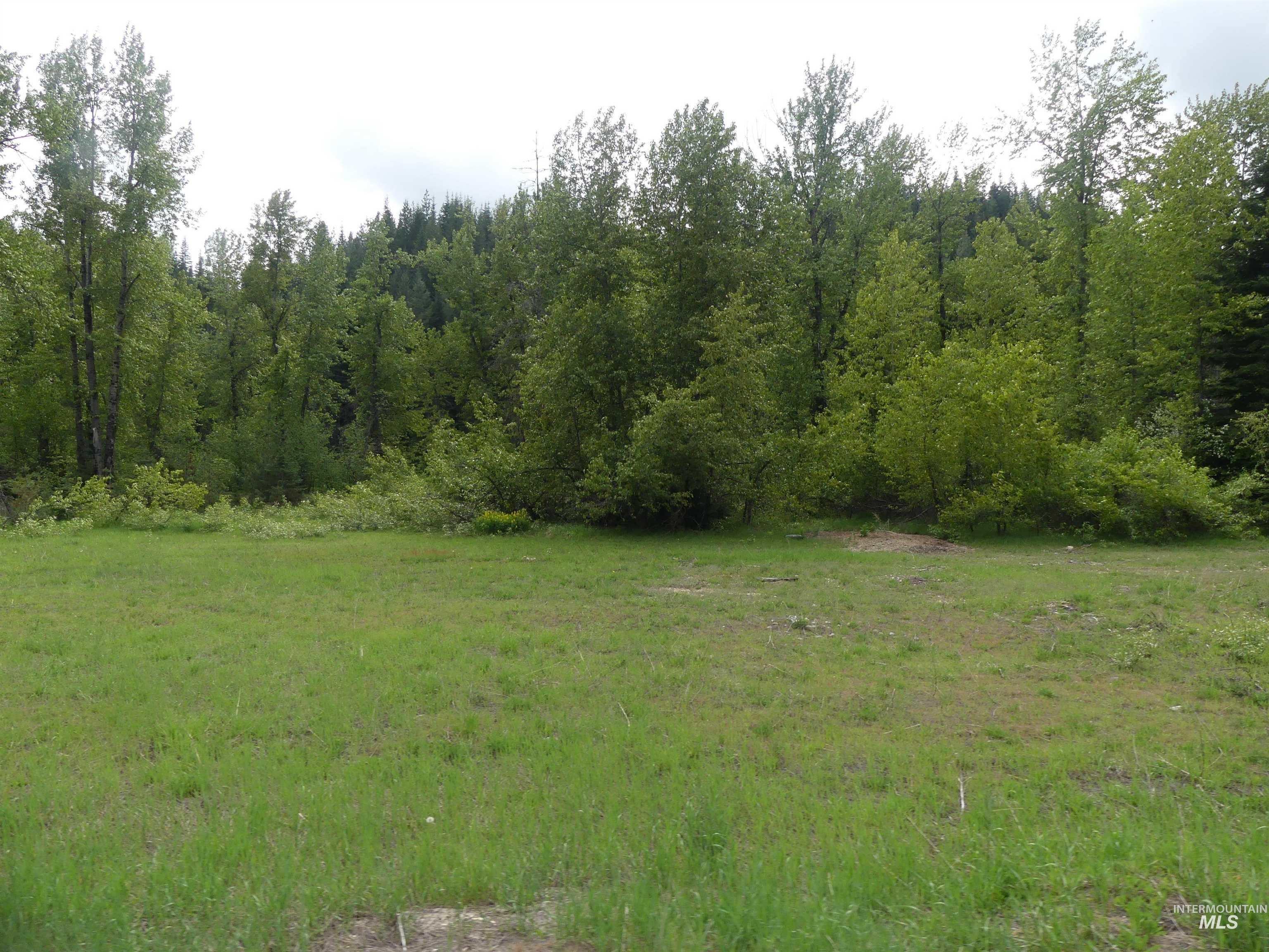 150 French Mountain Road, Pierce, Idaho 83546, Land For Sale, Price $150,000, 98994733