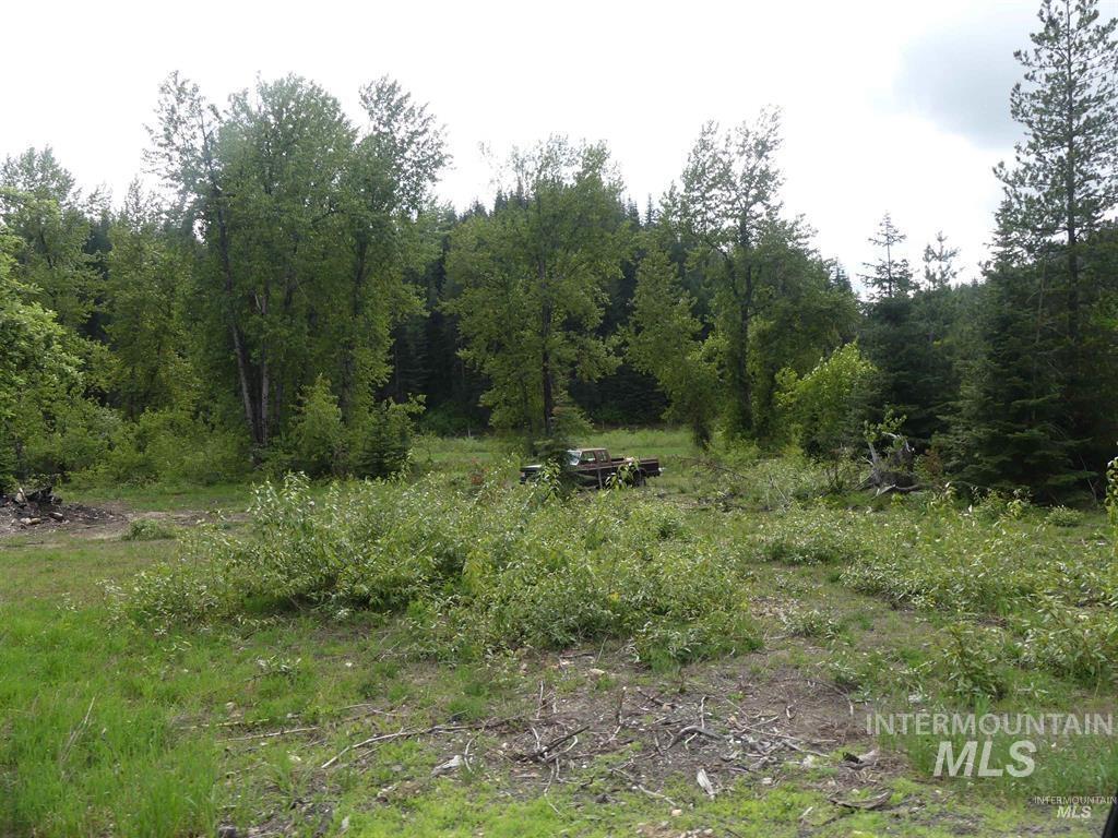 150 French Mountain Road, Pierce, Idaho 83546, Land For Sale, Price $150,000, 98994733