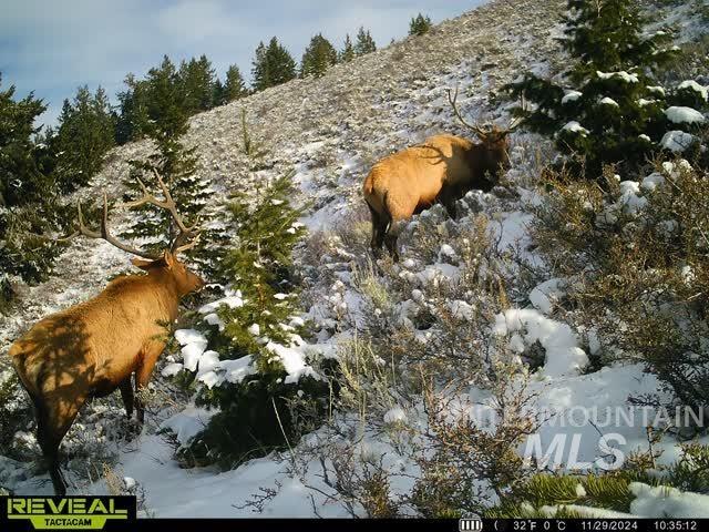 TBD TBD, Georgetown, Idaho 83237, Land For Sale, Price $2,750,000, 98994736