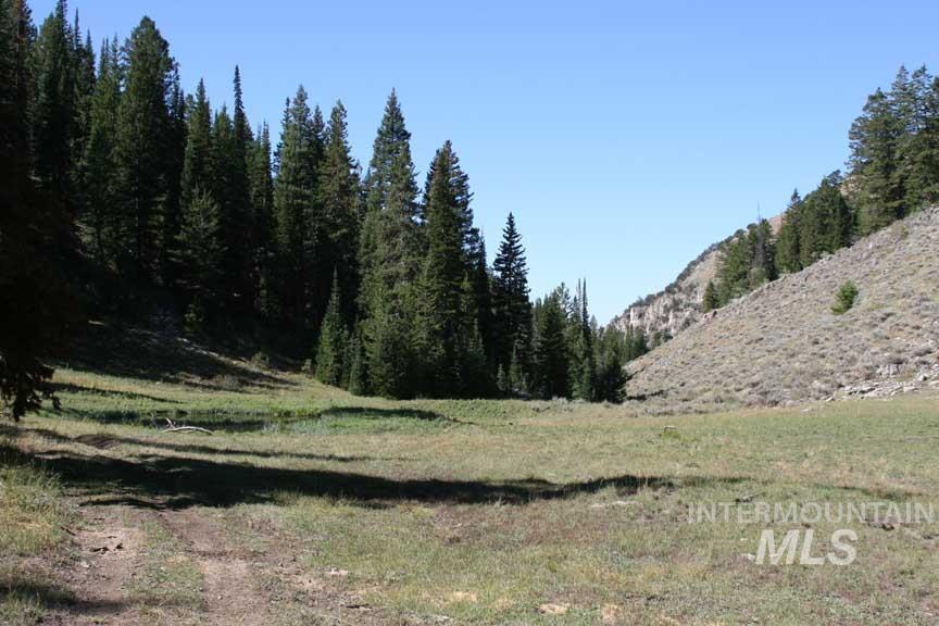 TBD TBD, Georgetown, Idaho 83237, Land For Sale, Price $2,750,000, 98994736