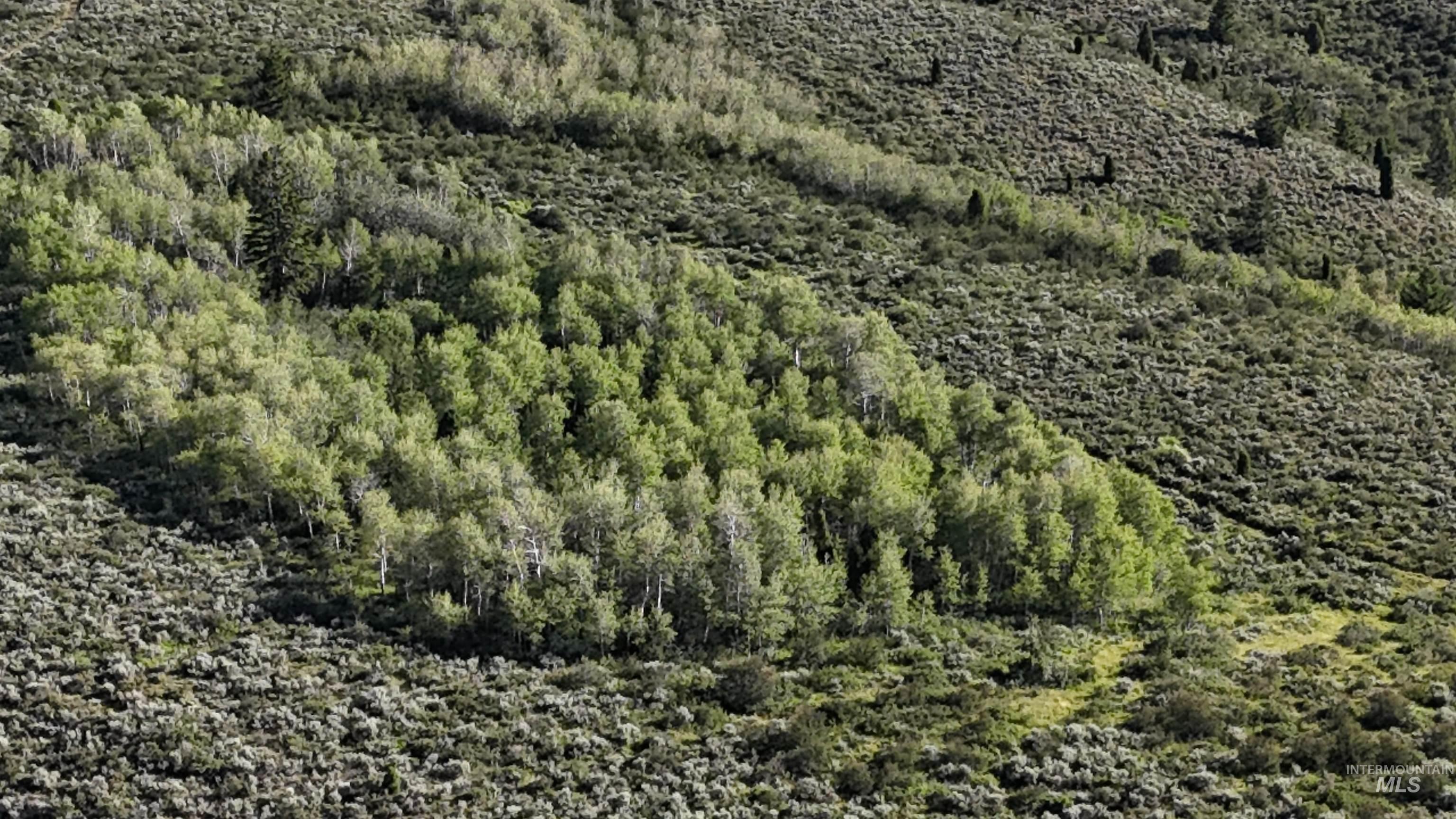 TBD TBD, Georgetown, Idaho 83237, Land For Sale, Price $2,750,000, 98994736