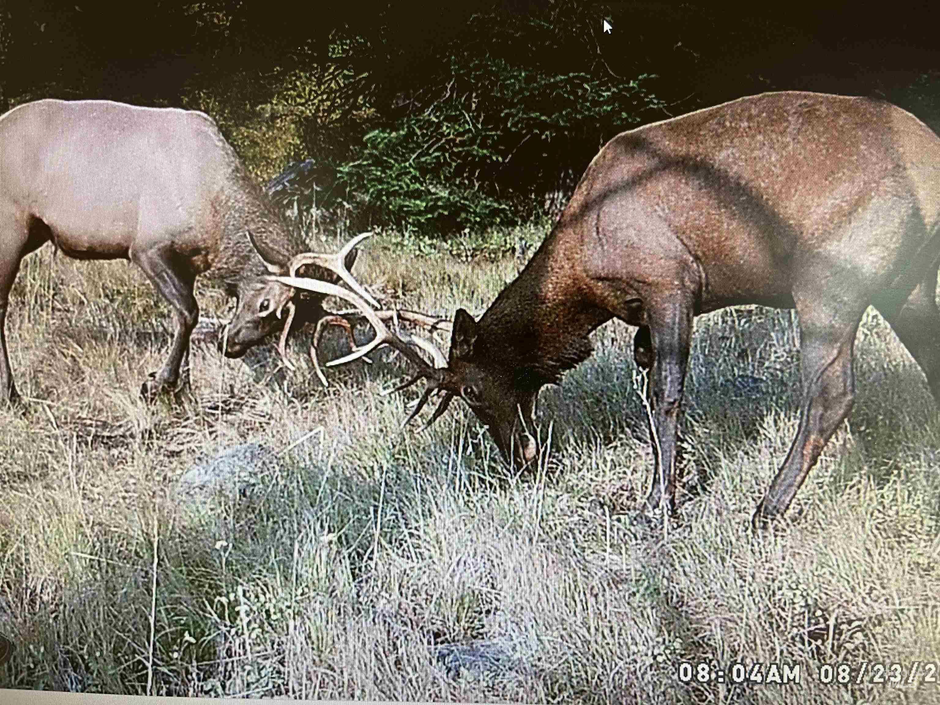 TBD TBD, Union, Oregon 97883, Land For Sale, Price $1,750,000,MLS 98994751