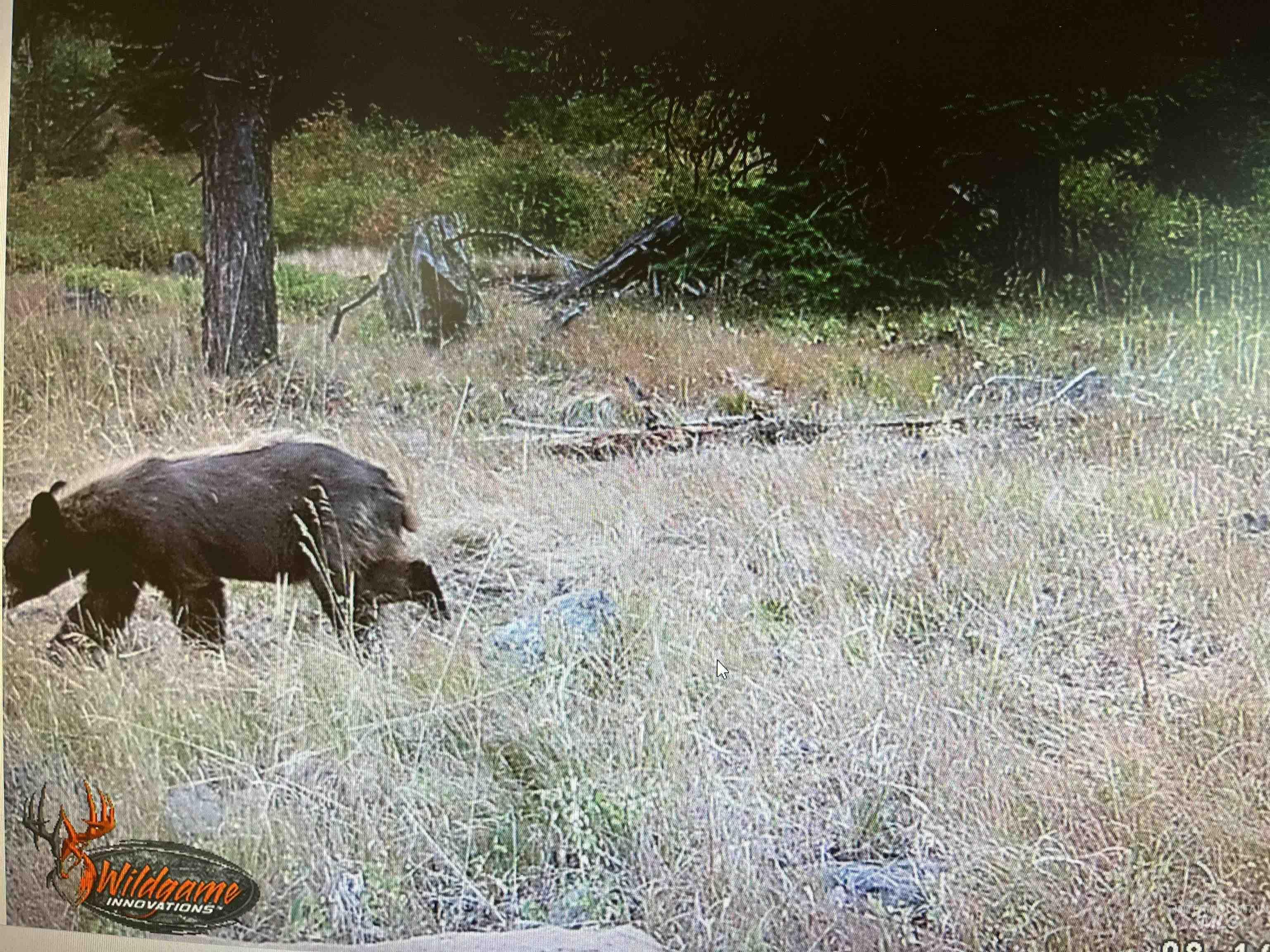 TBD TBD, Union, Oregon 97883, Land For Sale, Price $1,750,000,MLS 98994751