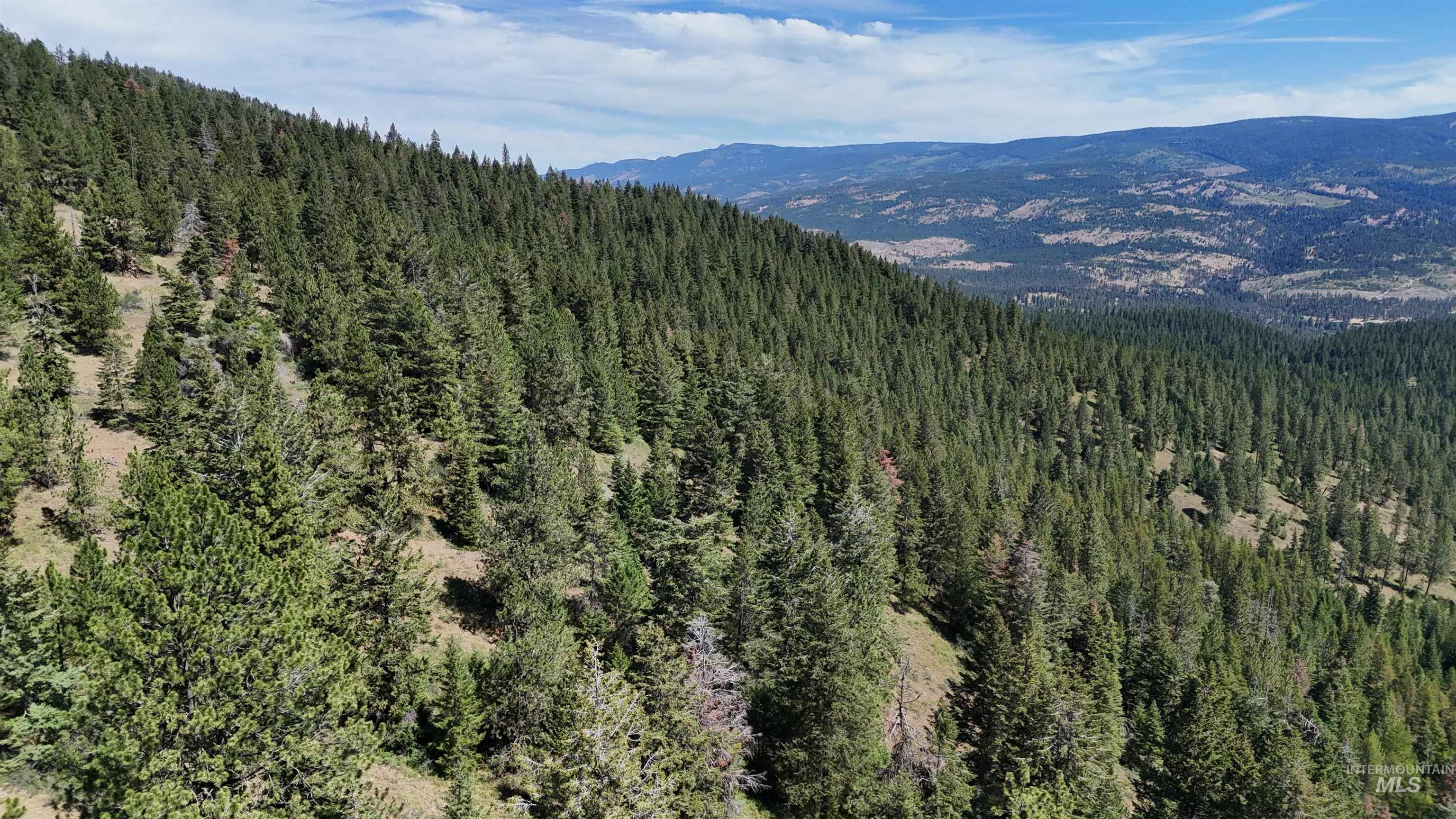 TBD TBD, Union, Oregon 97883, Land For Sale, Price $1,750,000,MLS 98994751