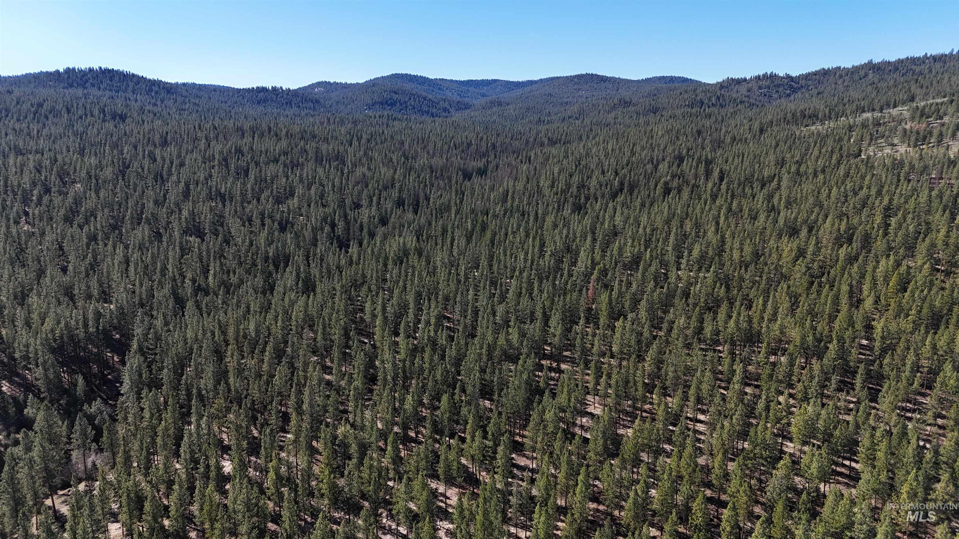 TBD TBD, Union, Oregon 97883, Land For Sale, Price $1,750,000,MLS 98994751