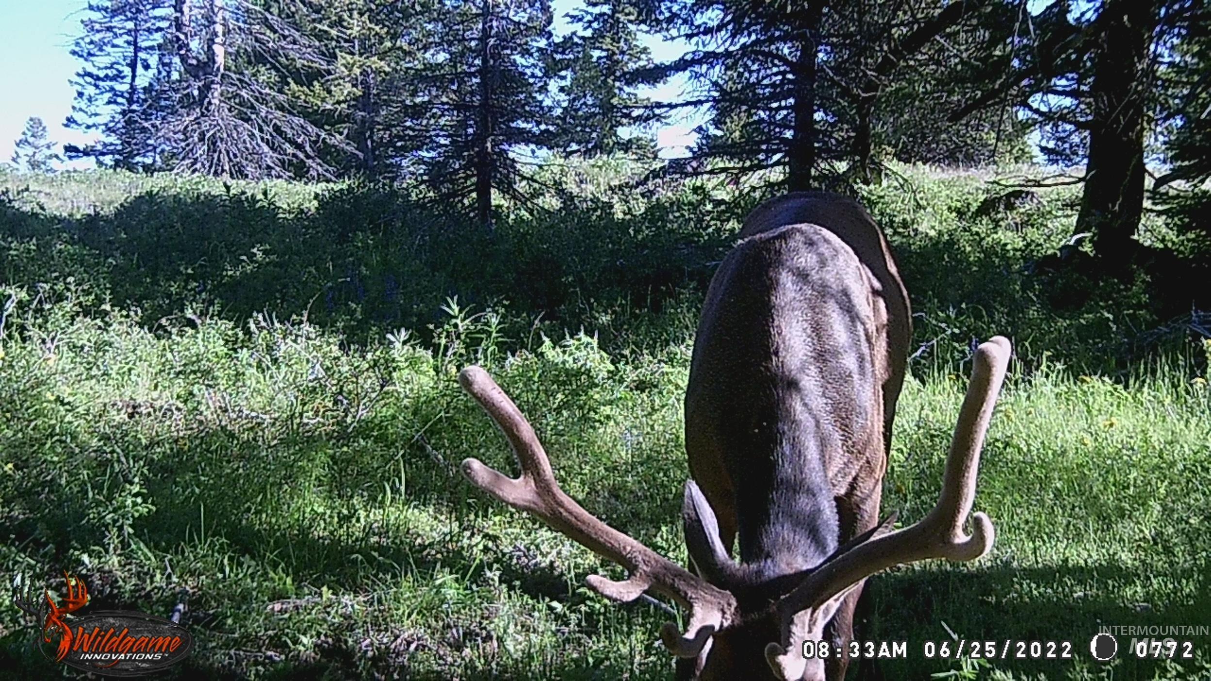 TBD TBD, Union, Oregon 97883, Land For Sale, Price $1,750,000,MLS 98994751