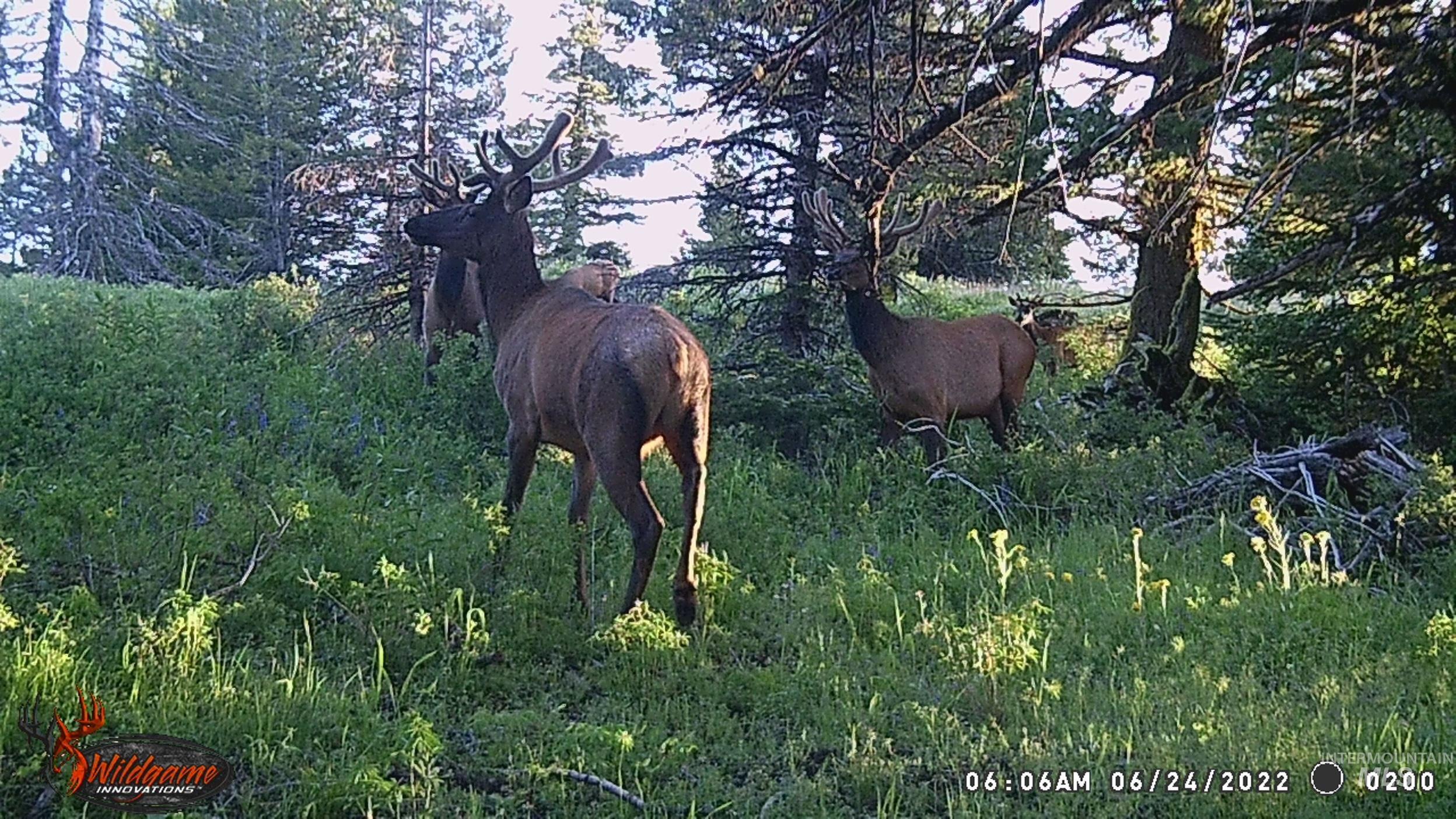 TBD TBD, Union, Oregon 97883, Land For Sale, Price $1,750,000,MLS 98994751