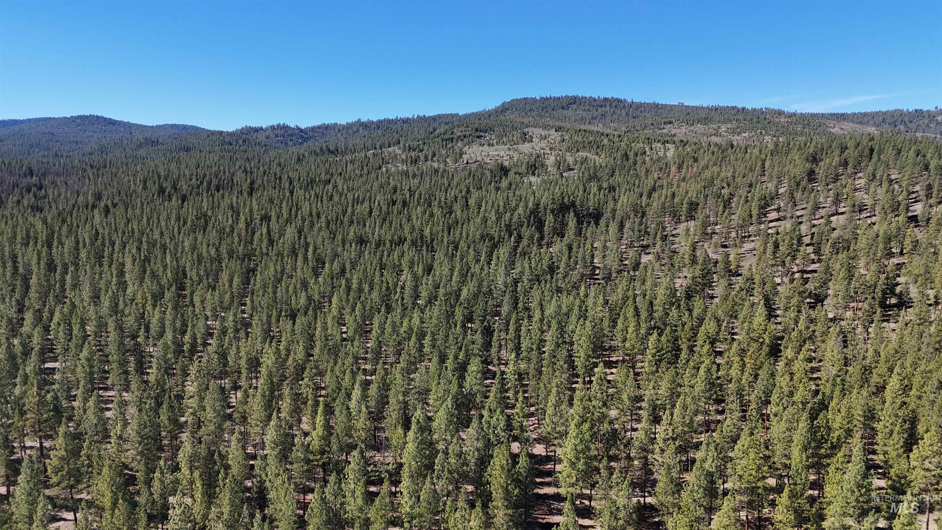 TBD TBD, Union, Oregon 97883, Land For Sale, Price $1,750,000,MLS 98994751