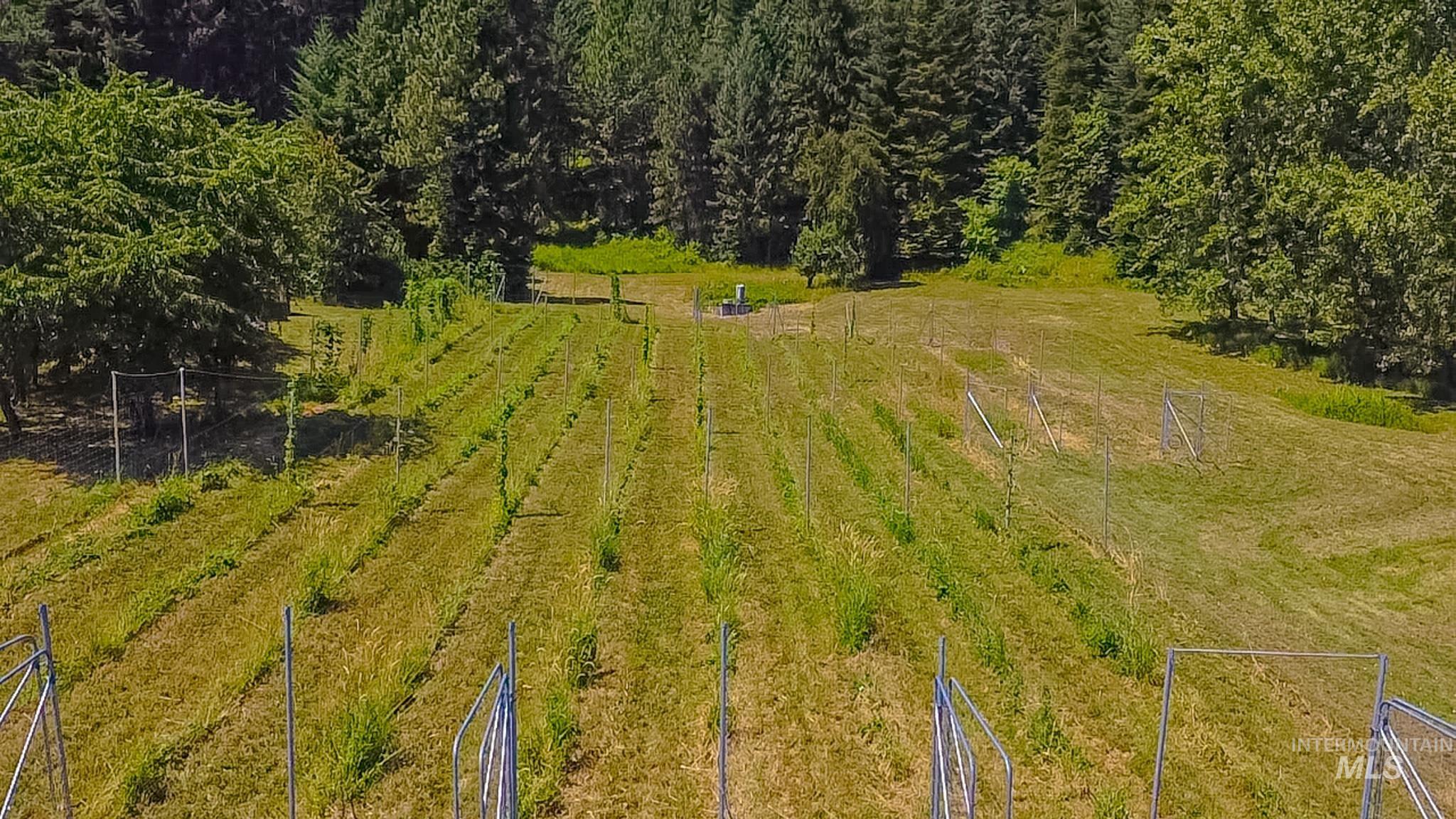 1619 Neighbors Lane, Orofino, Idaho 83544, 3 Bedrooms, 2 Bathrooms, Residential For Sale, Price $1,500,000, 98994765