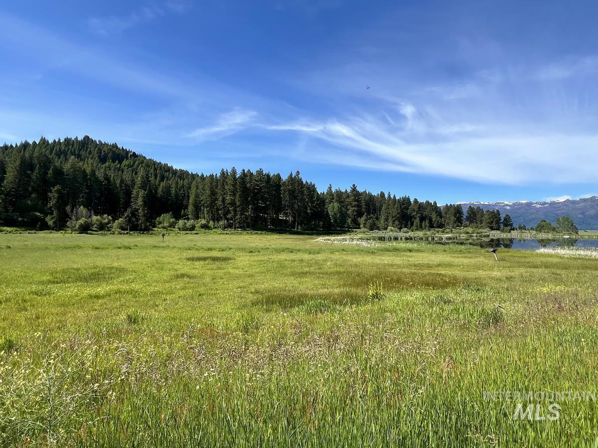 1765 Pine Lakes Ranch Drive, Cascade, Idaho 83611, Land For Sale, Price $279,000,MLS 98994788