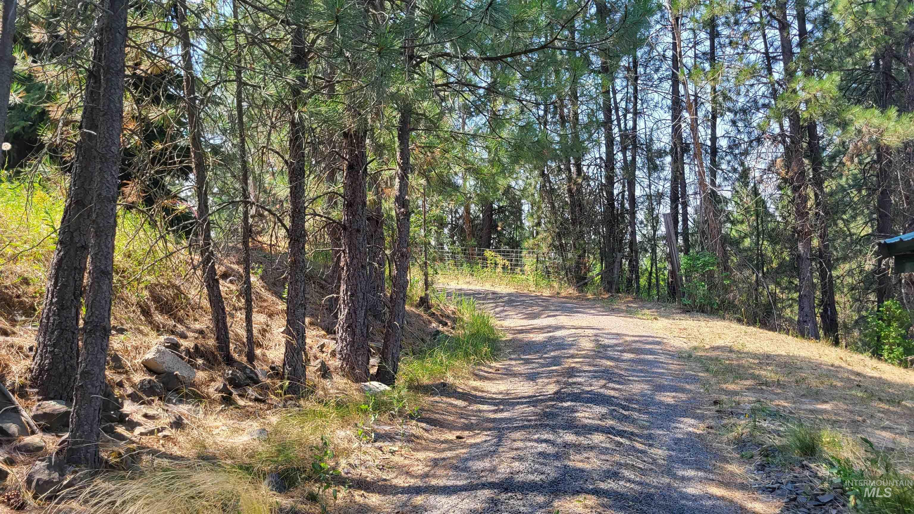 334 Big Meadow Road, Troy, Idaho 83871, 3 Bedrooms, 2 Bathrooms, Residential For Sale, Price $544,000,MLS 98994895