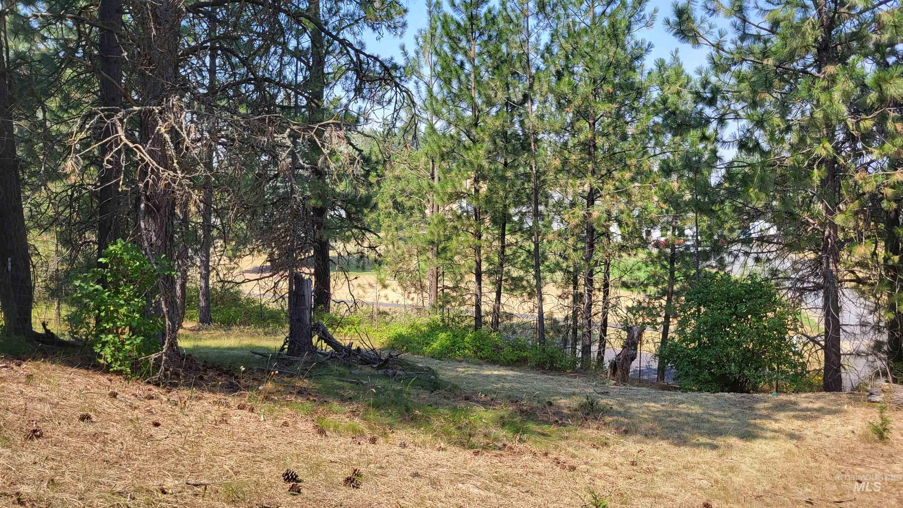 334 Big Meadow Road, Troy, Idaho 83871, 3 Bedrooms, 2 Bathrooms, Residential For Sale, Price $544,000,MLS 98994895